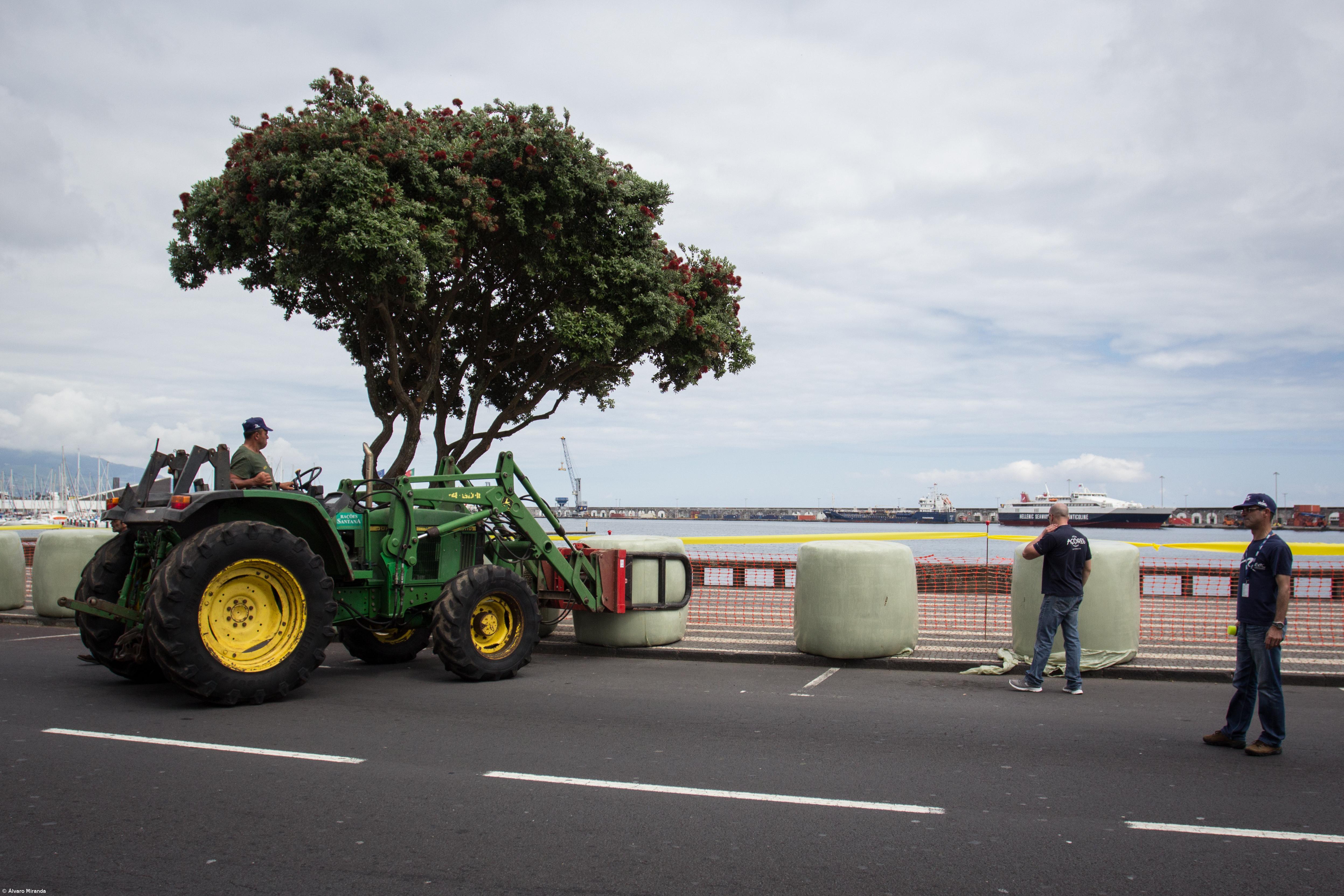 City Show arranca às 20h30 na Praça Gonçalo Velho  – Imagem 1