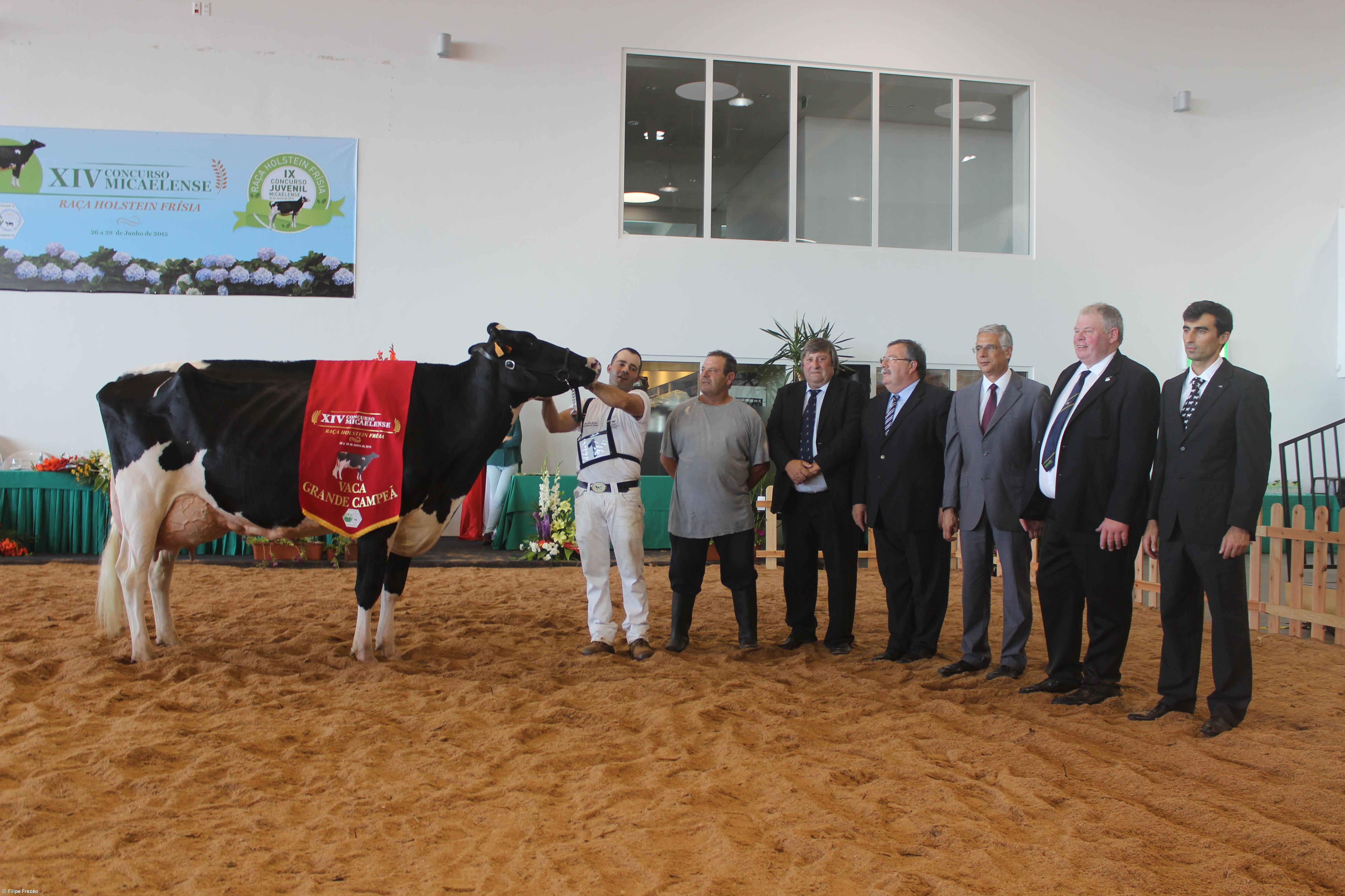 Tânia volta a conquistar o prémio de melhor vaca – Imagem 1