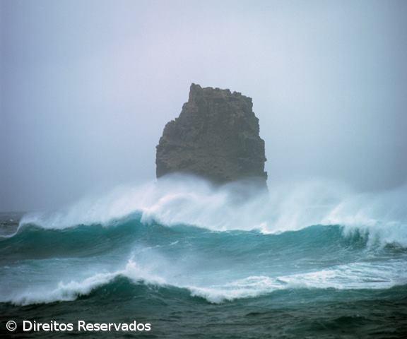 Exposição retrata memórias e "rugas" de antigos baleeiros – Imagem 1