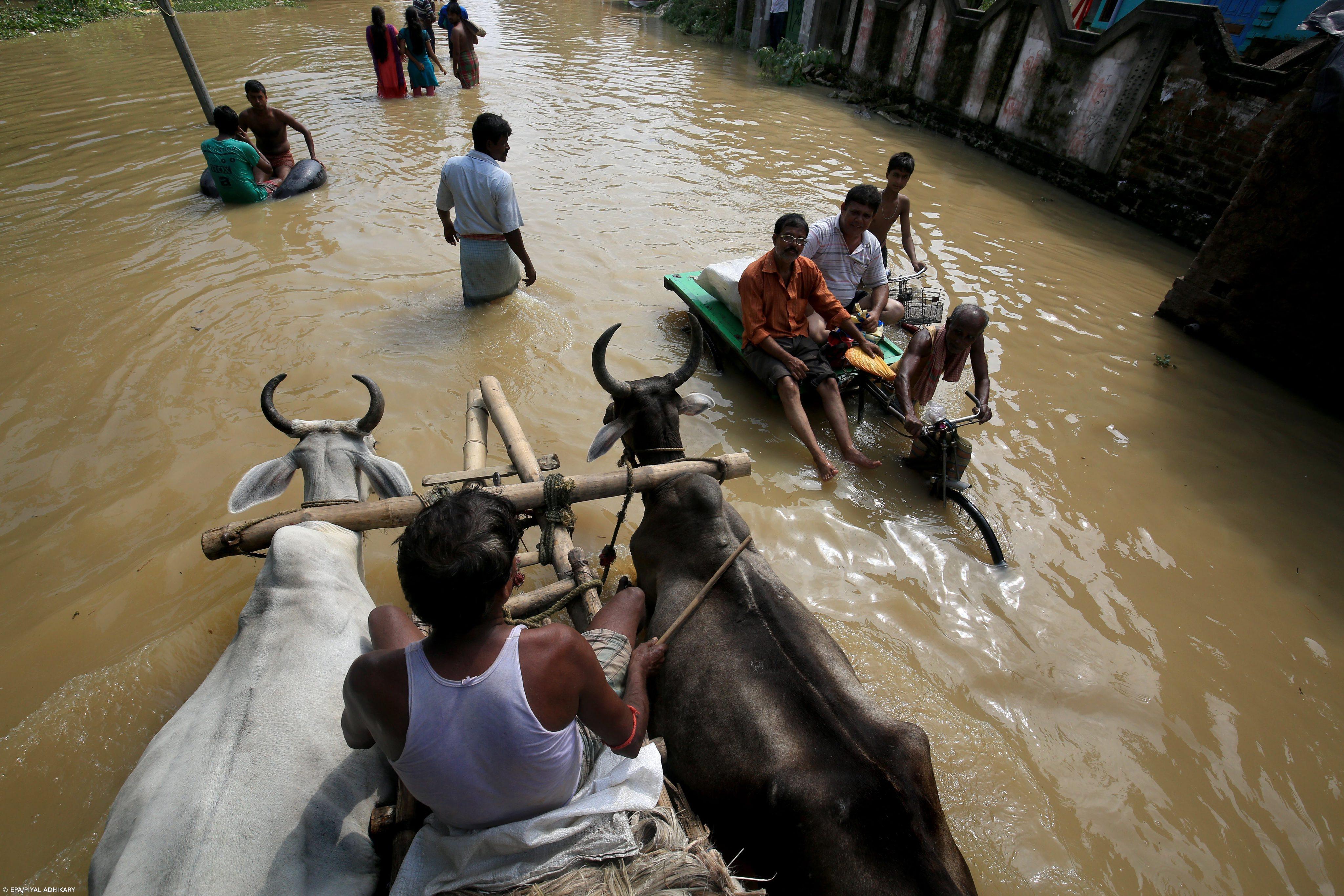 Cientistas falharam na previsão das consequências do aquecimento global – Imagem 1