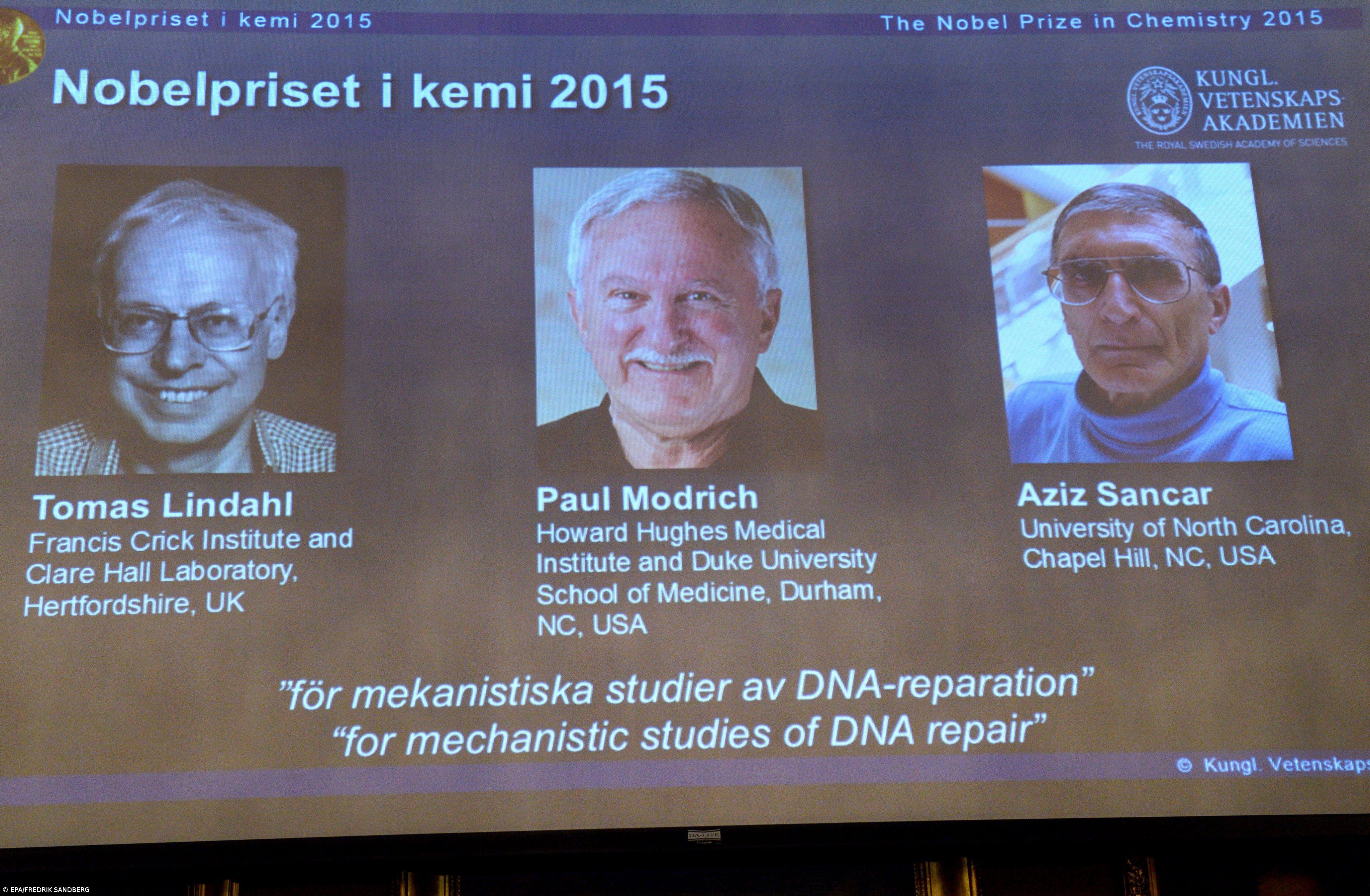 Nobel da Química distingue três cientistas que mapearam reparação de ADN – Imagem 1