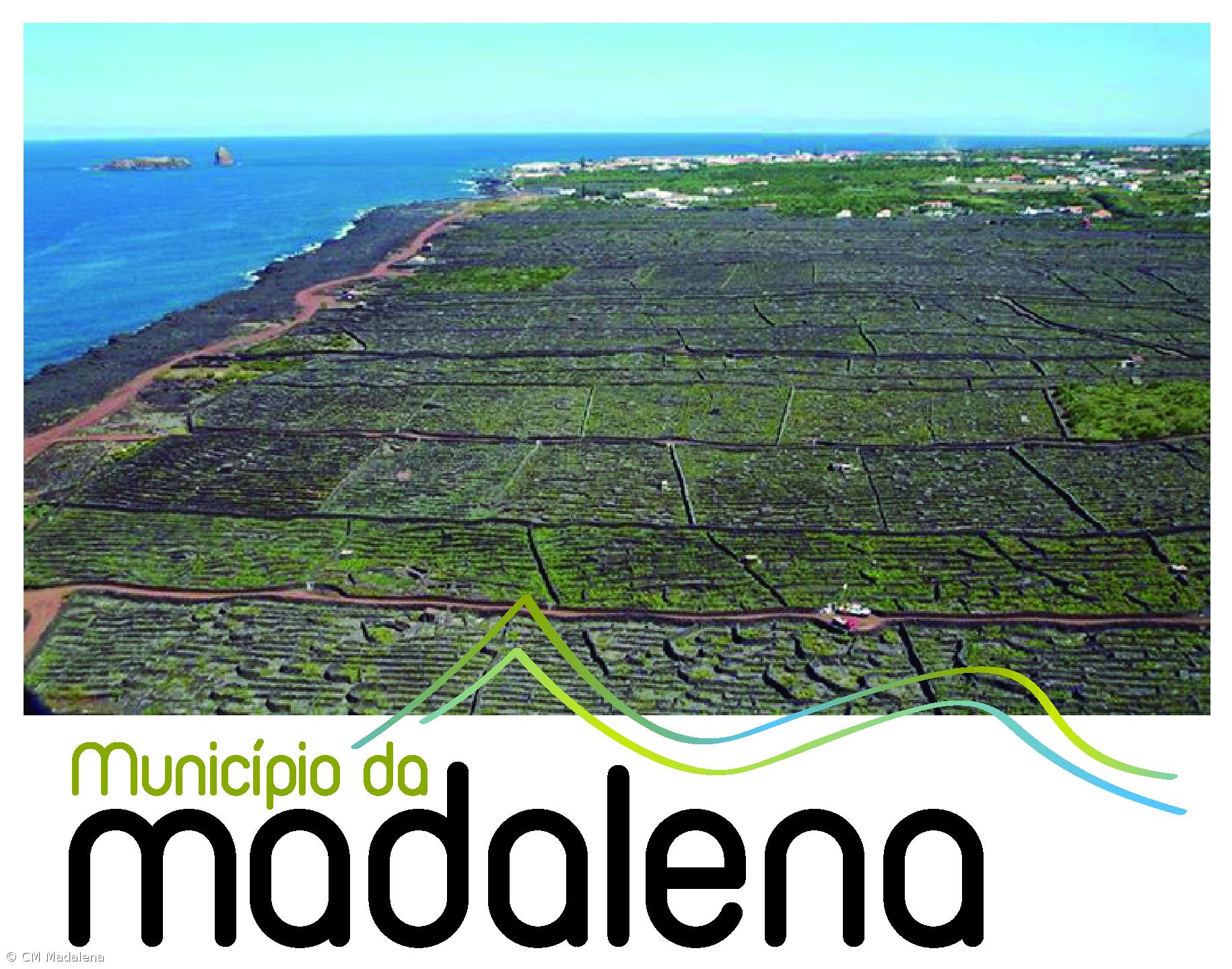 Madalena é a capital dos Açores da Vinha e do Vinho – Imagem 1