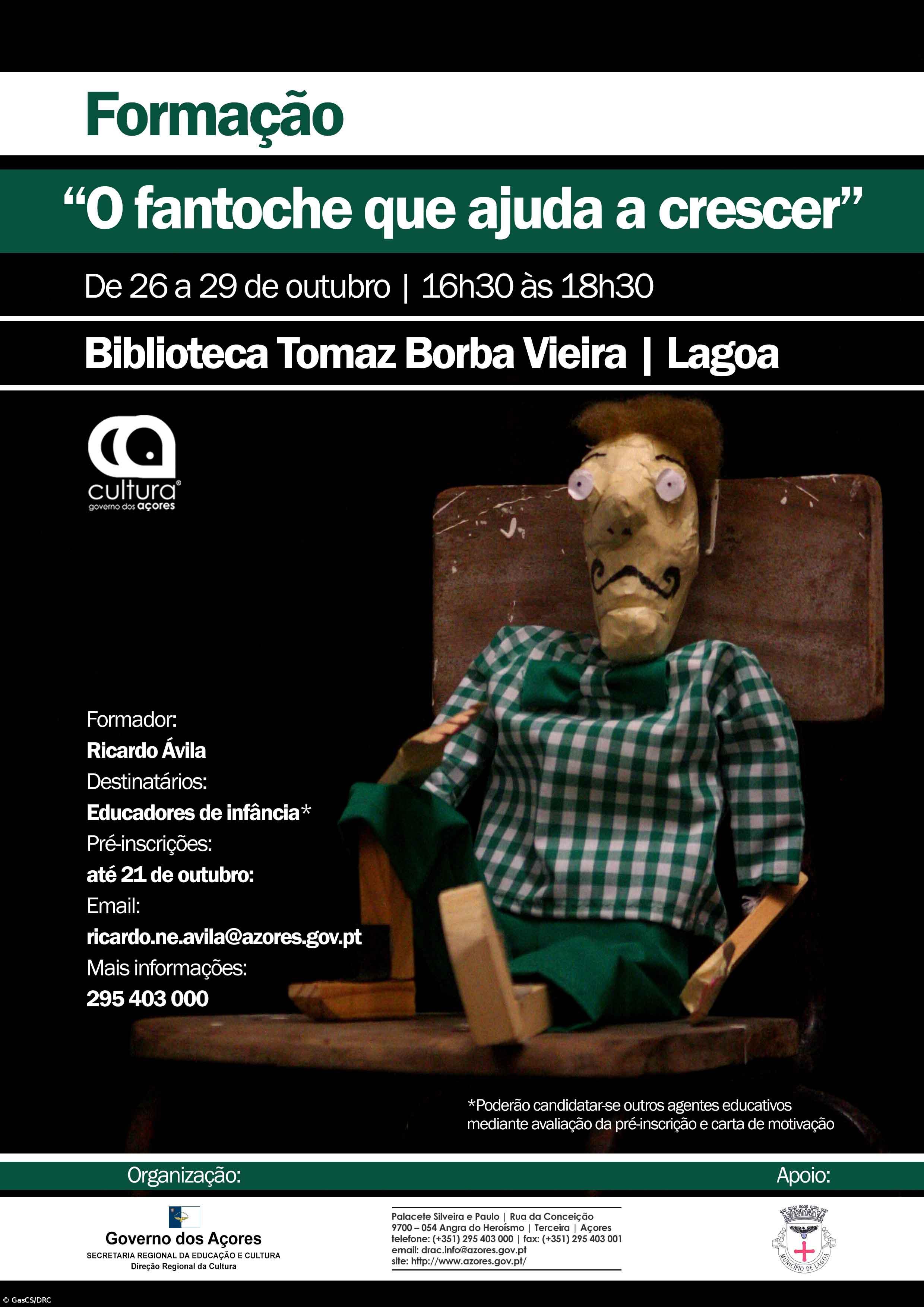 Direção Regional da Cultura promove oficina "O fantoche que ajuda a crescer" – Imagem 1