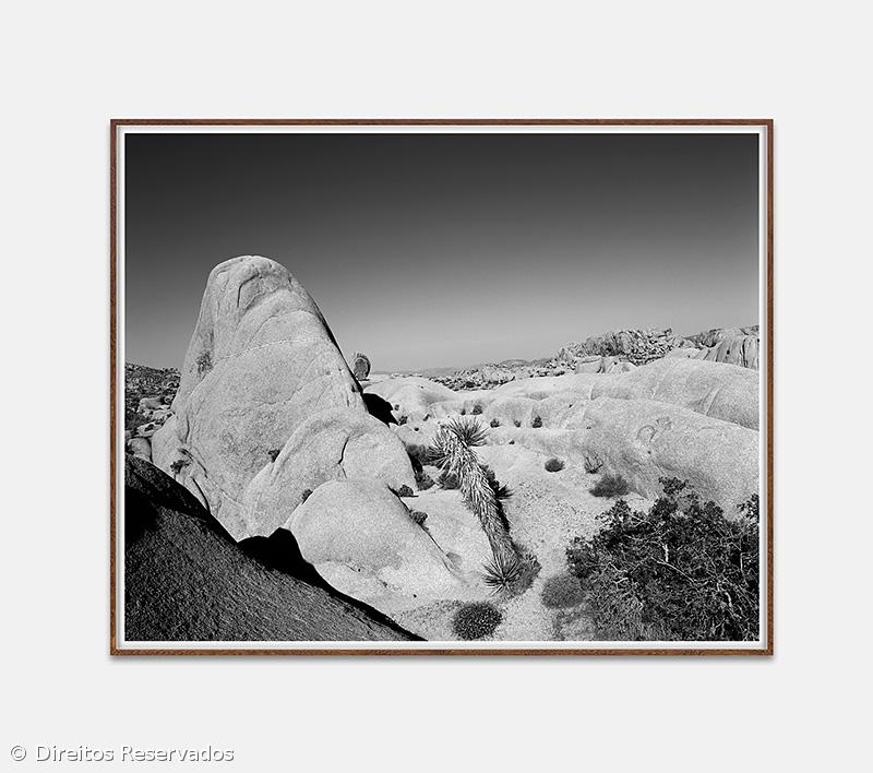 "West" de Marco Pires em exposição na Fonseca Macedo – Imagem 1