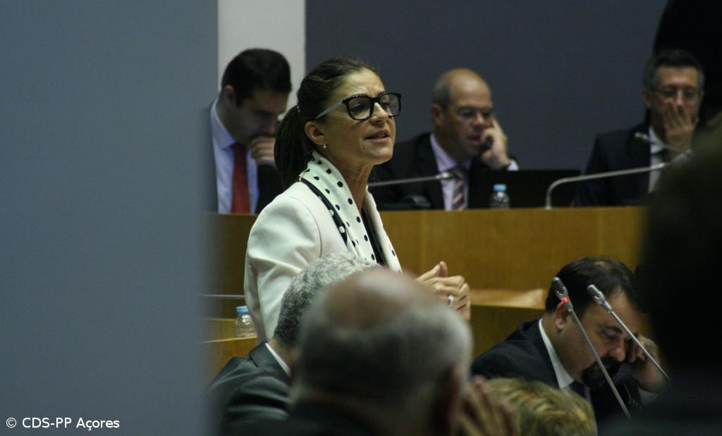 CDS critica falta de certificação na classificação do leite nos Açores – Imagem 1