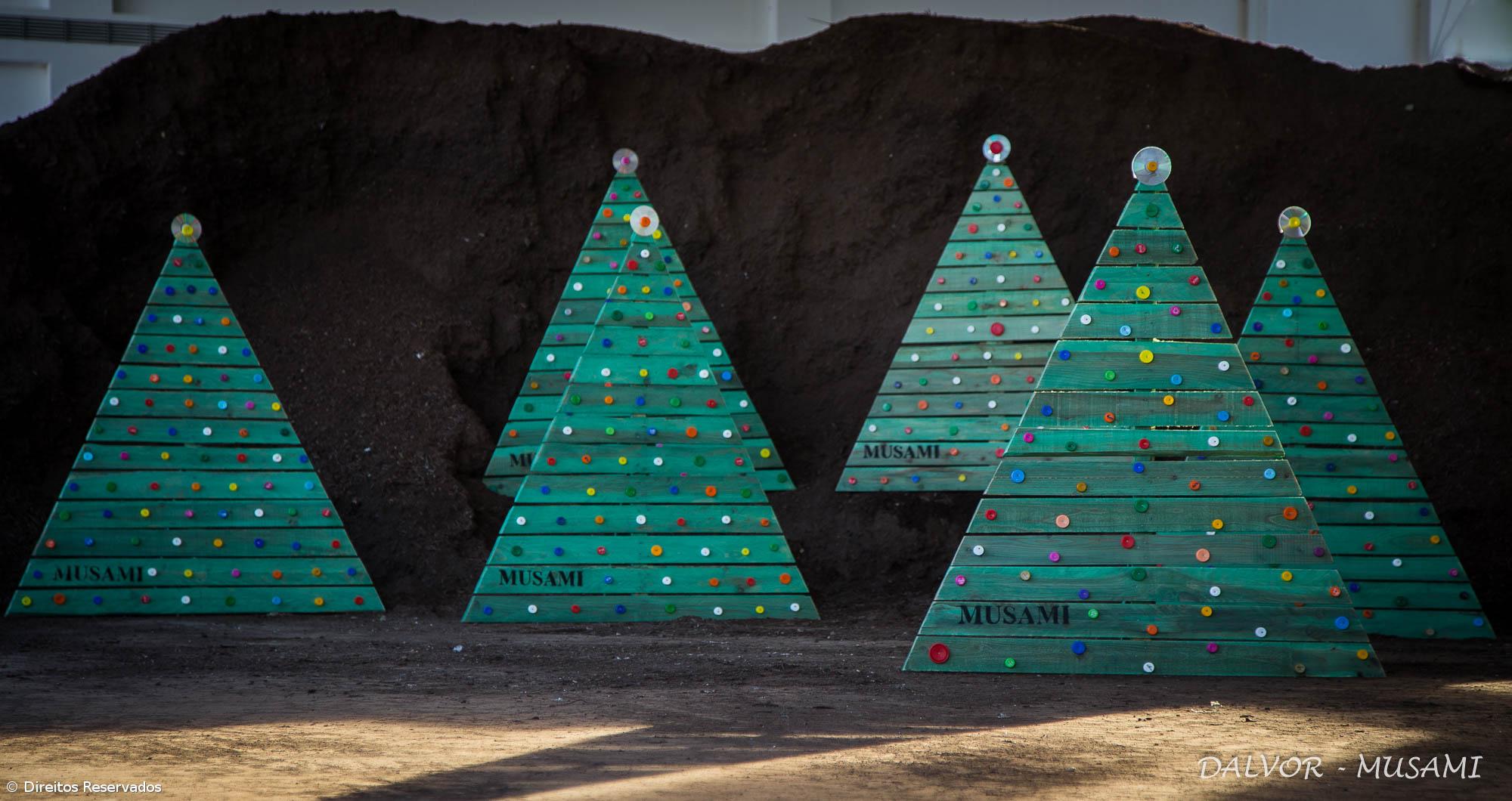 MUSAMI distribuiu 66 árvores de Natal em escolas – Imagem 1