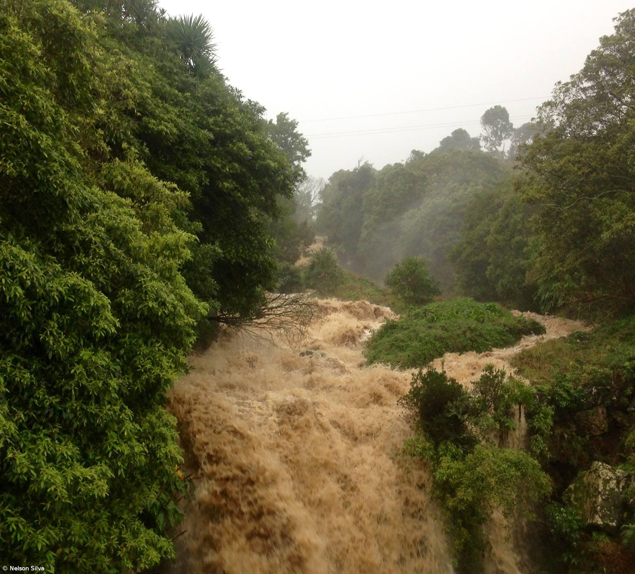 Mau tempo desta sexta-feira em imagens – Imagem 1