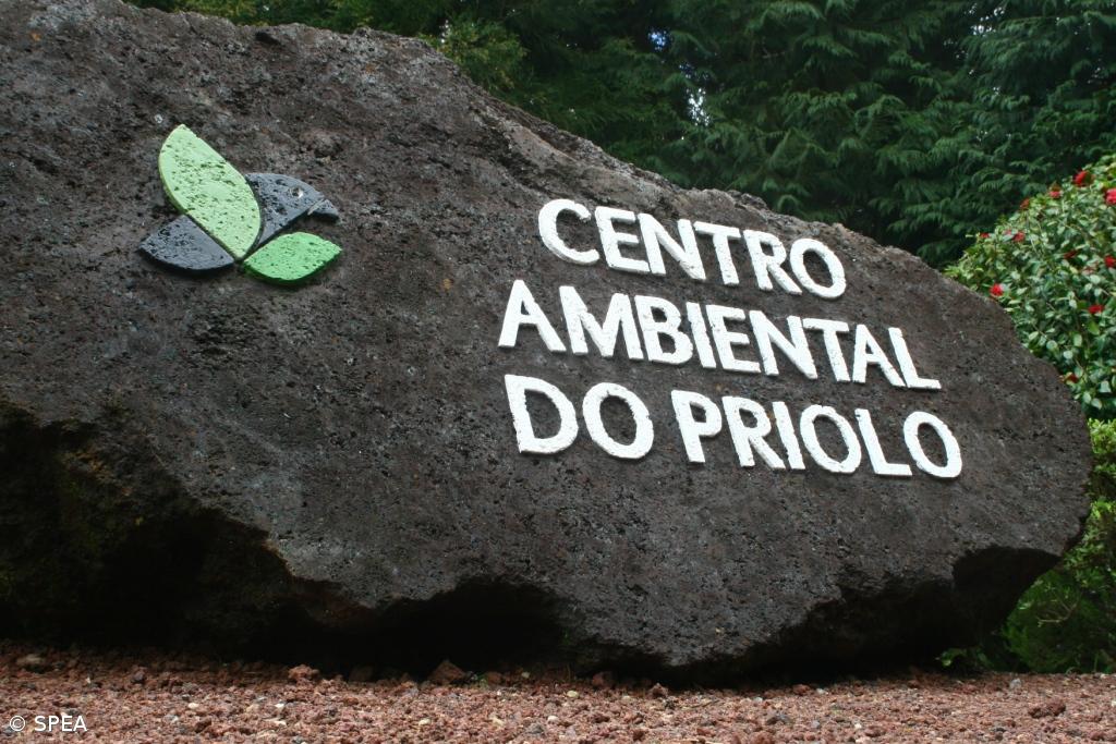 Sociedade Portuguesa para o Estudo das Aves com nova sede nos Açores – Imagem 1