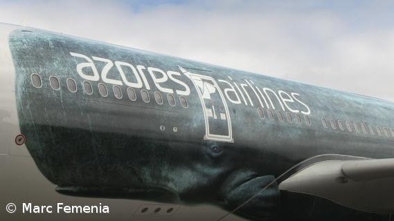 A330 da transportadora aérea SATA começa a operar na sexta-feira – Imagem 1