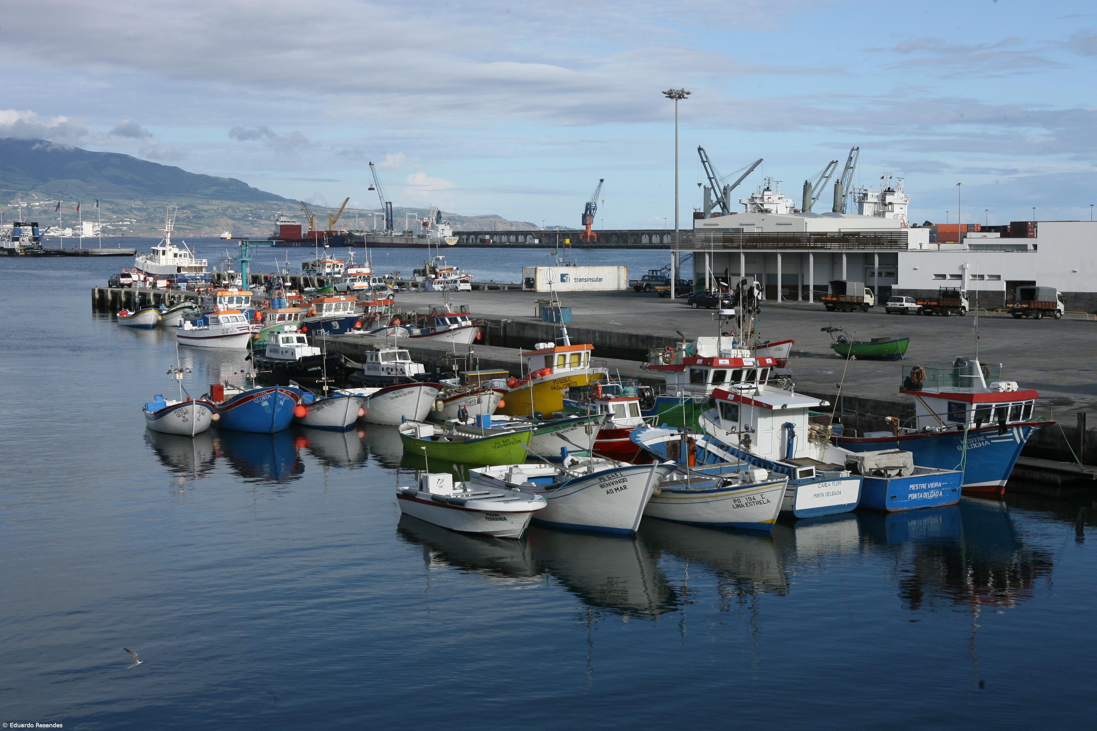 Prolongada autorização para captura de chicharros – Imagem 1