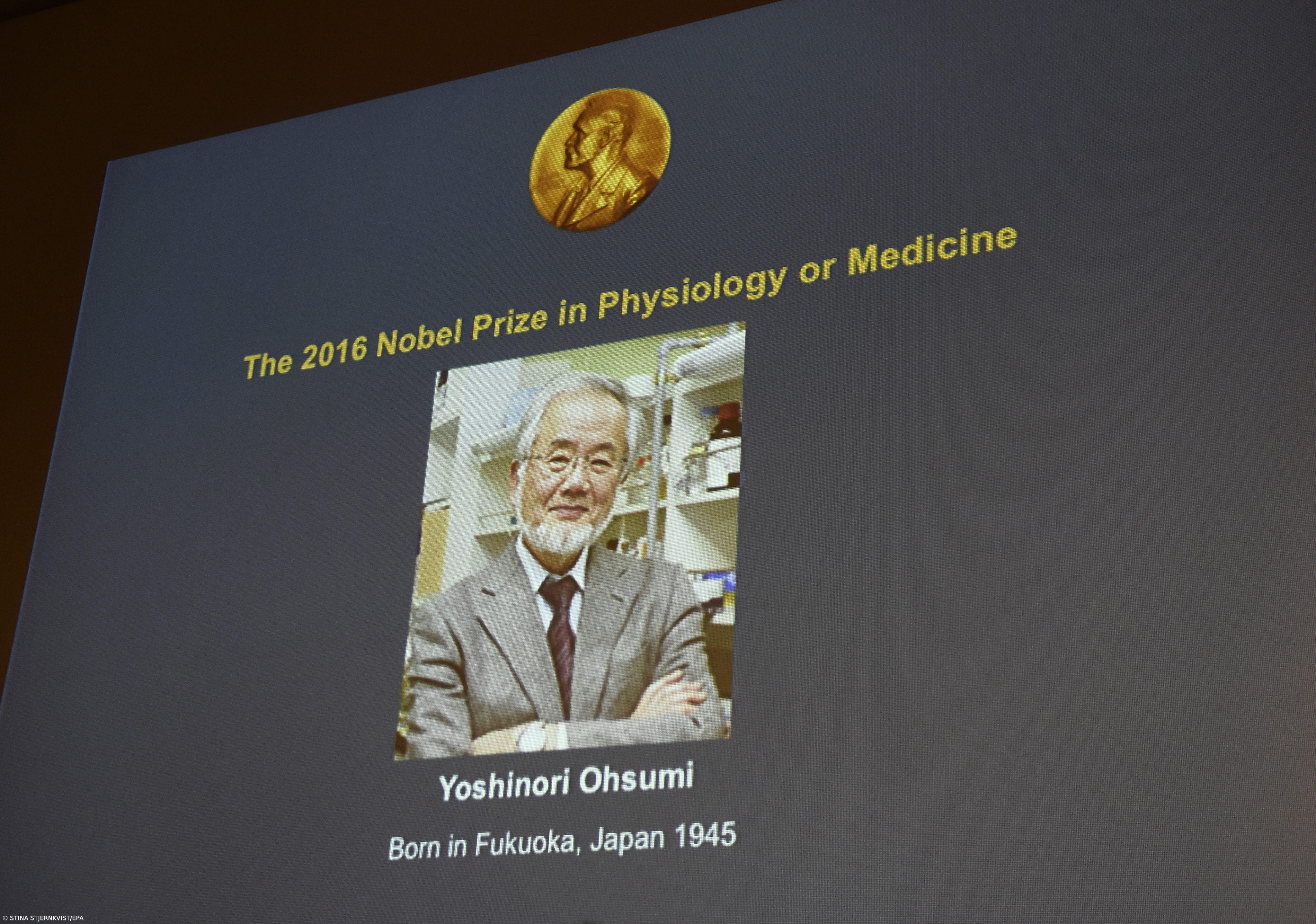 Nobel da Medicina atribuído ao japonês Yoshinori Ohsumi  – Imagem 1