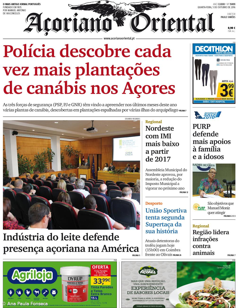 Polícia descobre cada vez mais plantações de canábis nos Açores – Imagem 1