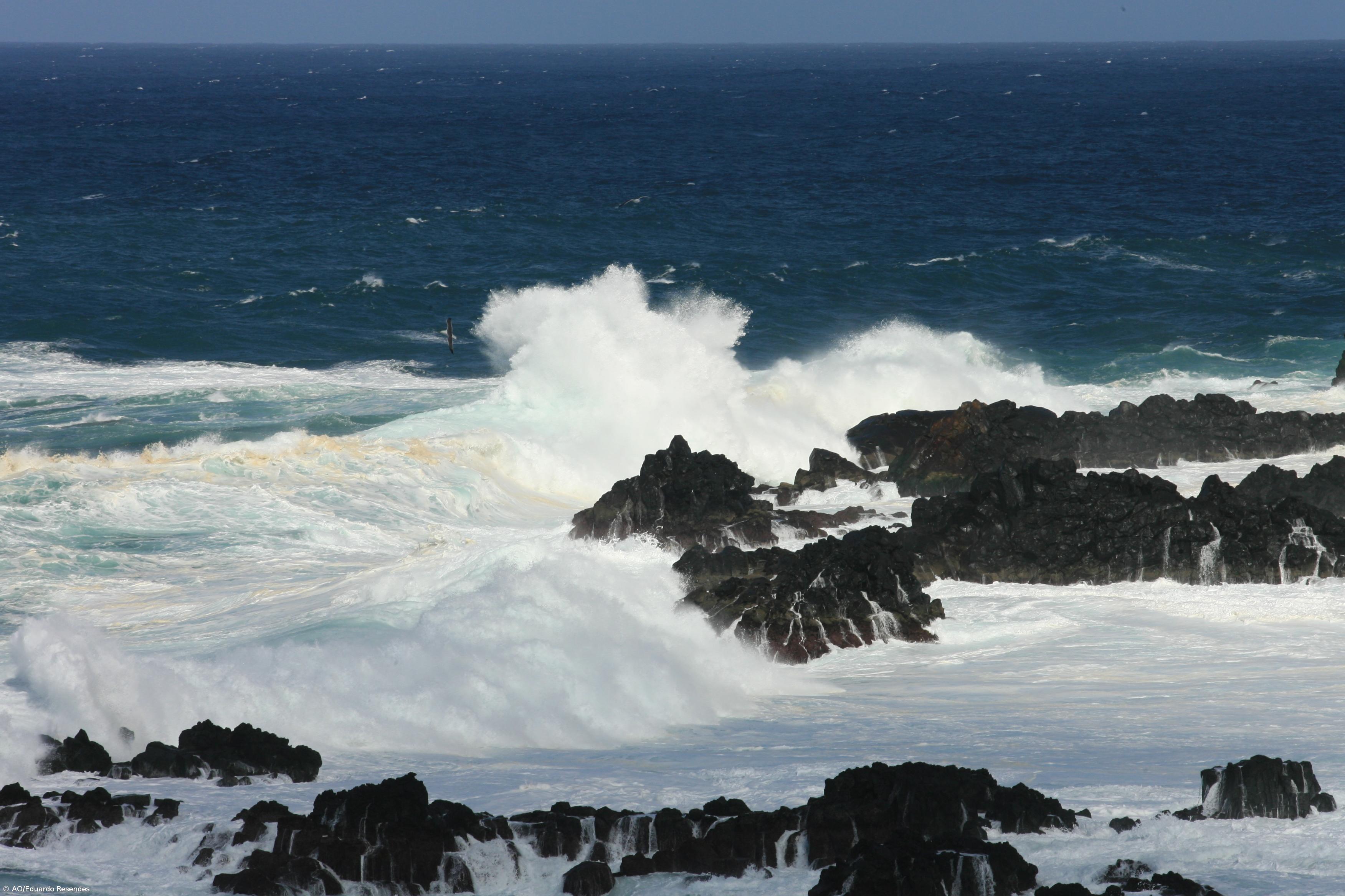 Buscas para encontrar turista no mar da ilha das Flores feitas apenas por terra – Imagem 1