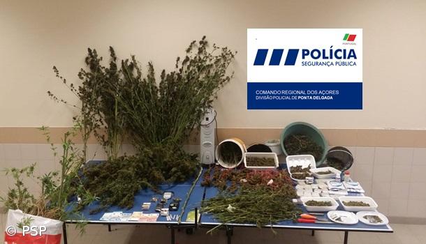 PSP detém alegado traficante e apreende canábis e liamba – Imagem 1