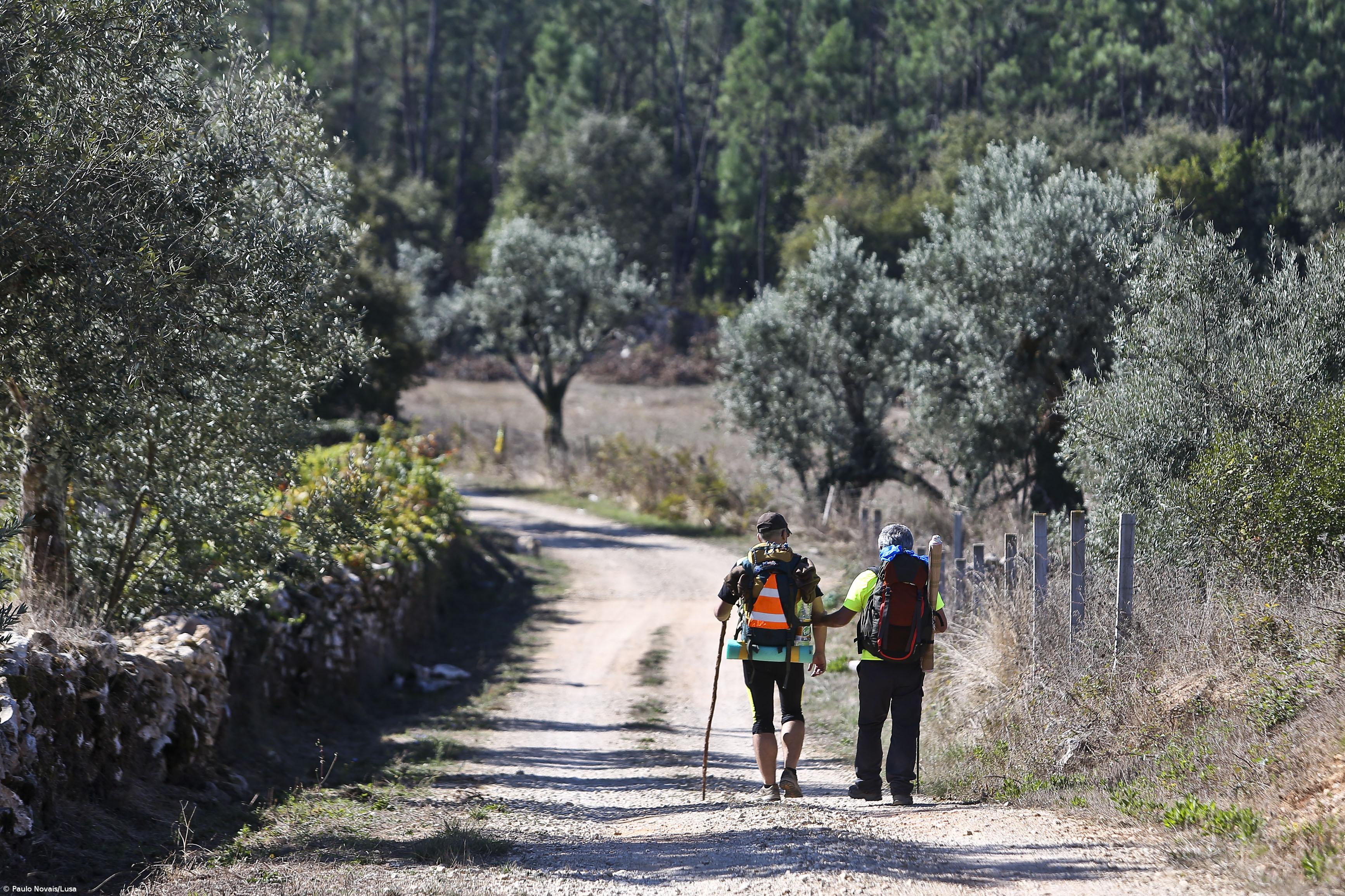 Peregrinos portugueses estão em minoria no caminho alternativo – Imagem 1