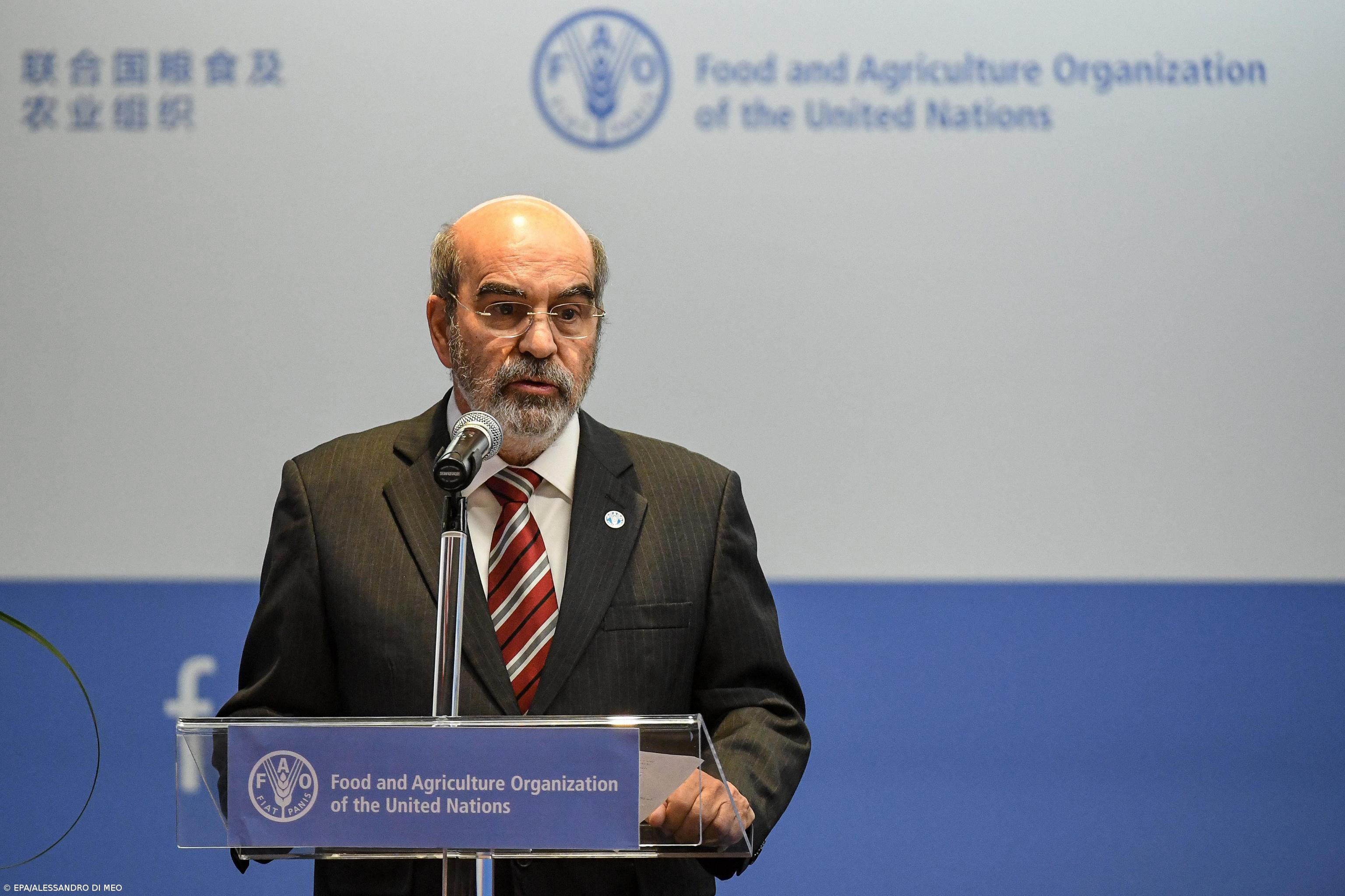 ONU pede medidas para adaptar a agricultura e evitar a fome devido às alterações climáticas – Imagem 1