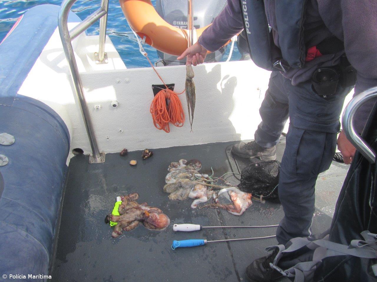 Polícia Marítima apreende dez quilogramas de polvo – Imagem 1