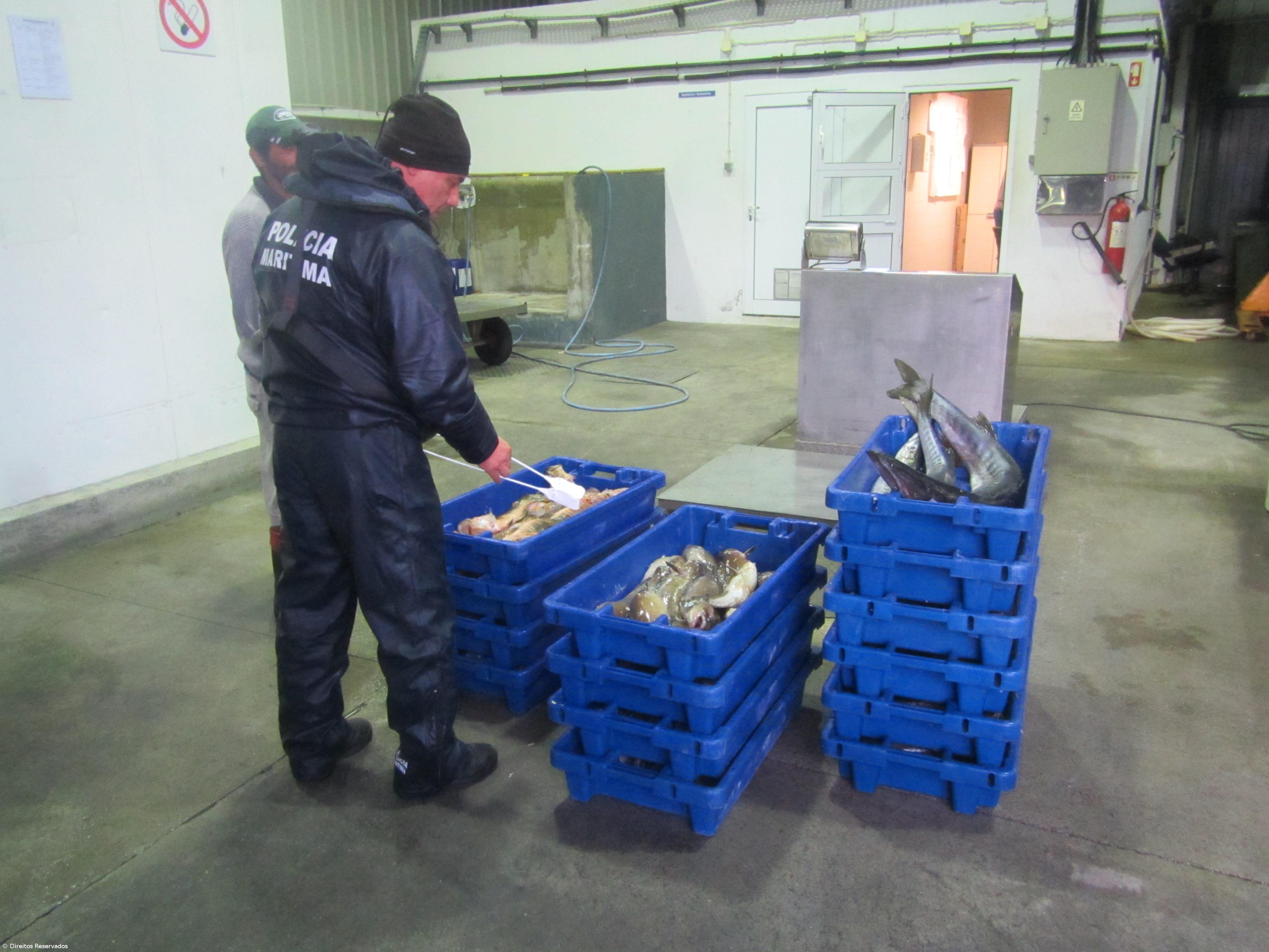 Barco apanhado em pesca ilegal nos ilhéus das Formigas – Imagem 1