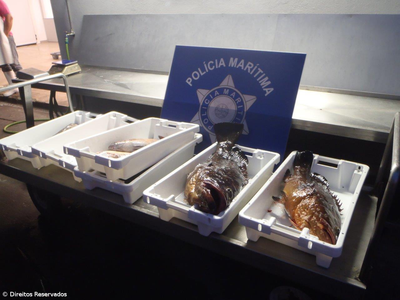 Polícia Marítima apreende 50 quilogramas de pescado – Imagem 1