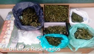 PSP detém alegado traficante e apreende canábis – Imagem 1