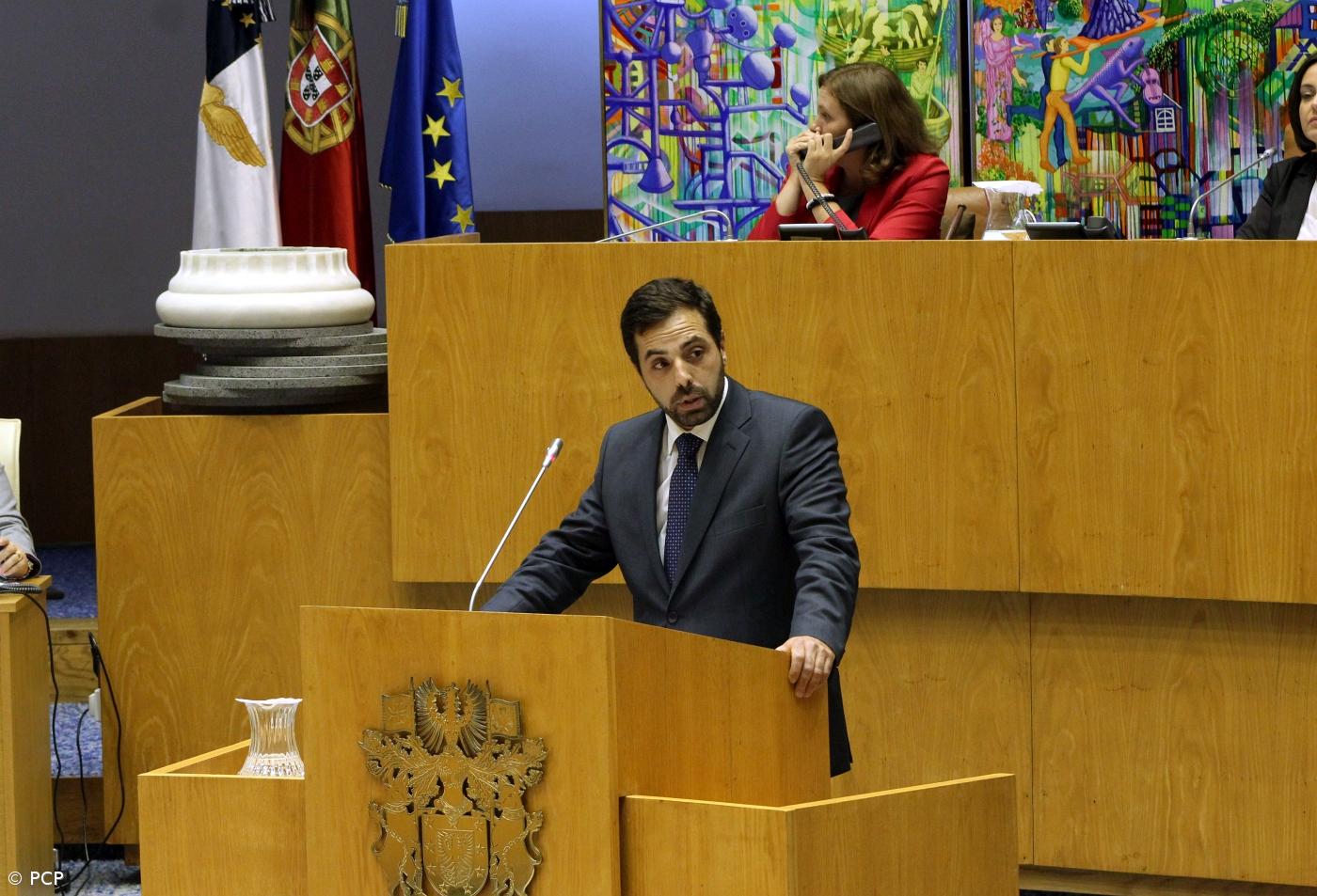 PCP/Açores defende apoios à exportação de gado vivo – Imagem 1