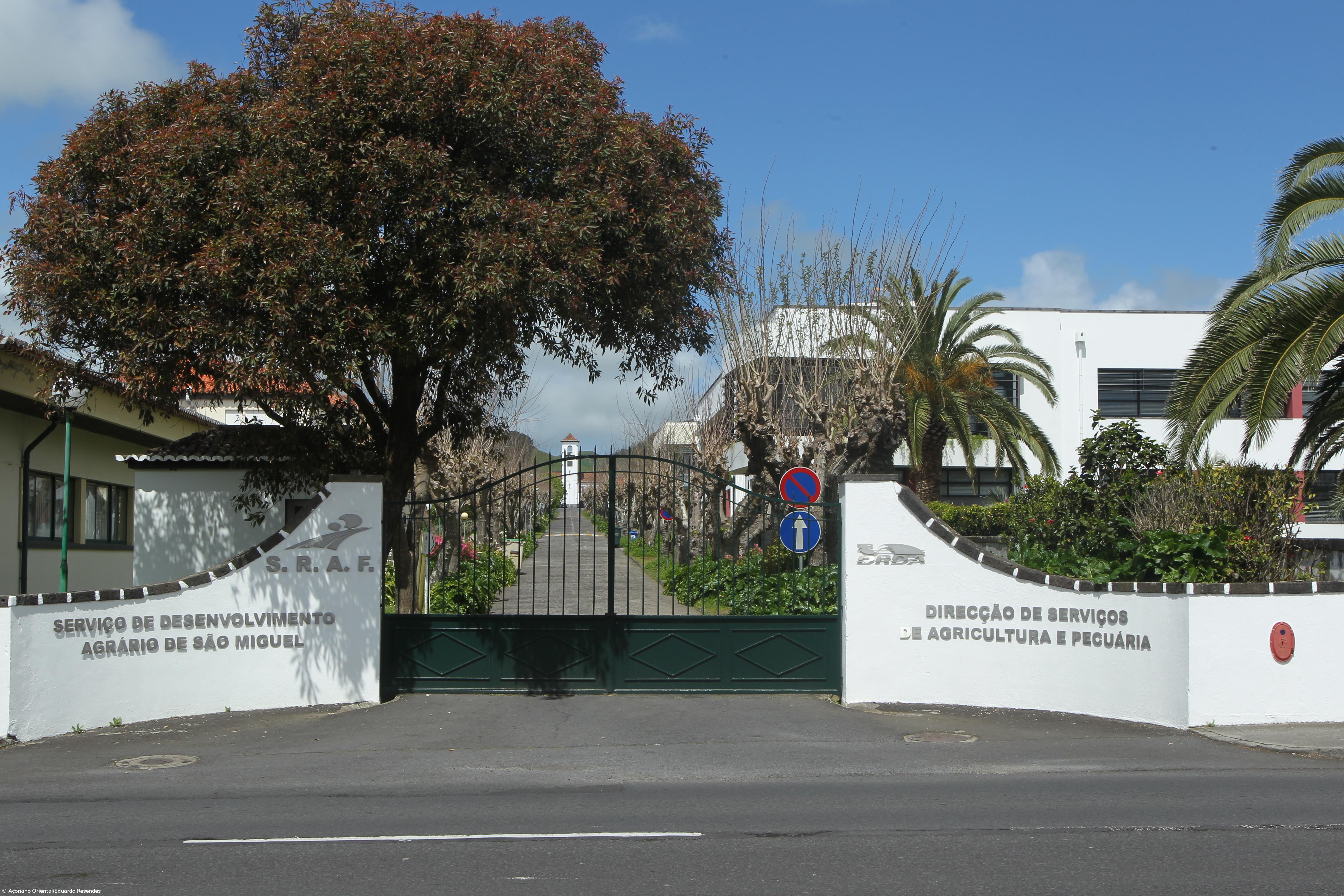 Pedro Hintze Ribeiro nomeado Diretor do Serviço de Desenvolvimento Agrário de São Miguel – Imagem 1