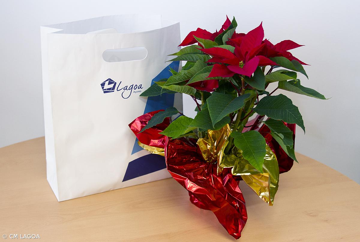 Câmara Municipal de Lagoa distribui cabazes a idosos – Imagem 1