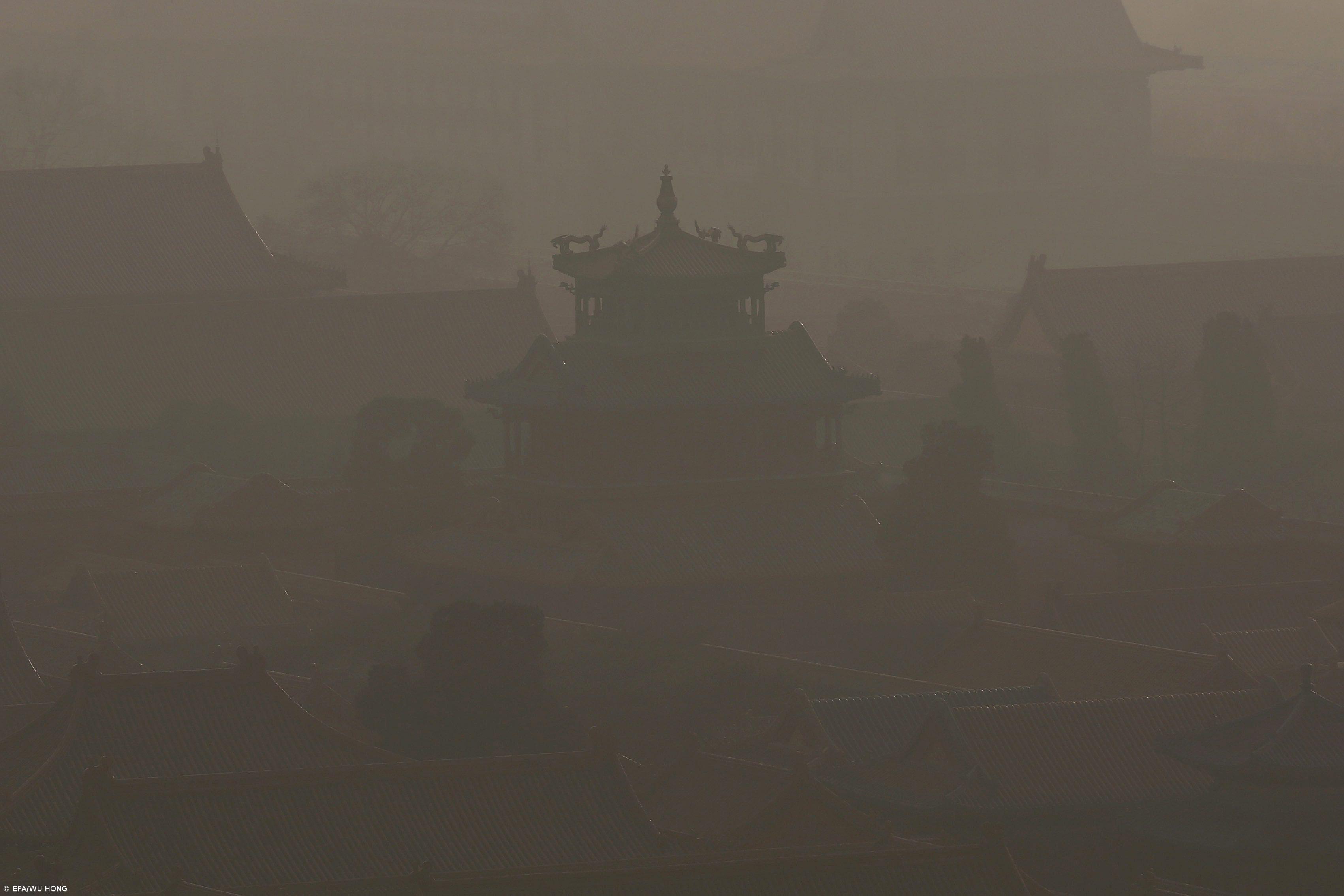 Zero destaca palavra “suficiência” como a mais importante para a humanidade – Imagem 1