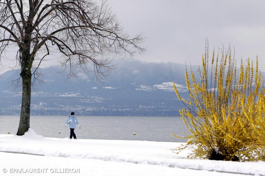PE aprova pacote de combate às alterações climáticas  – Imagem 1