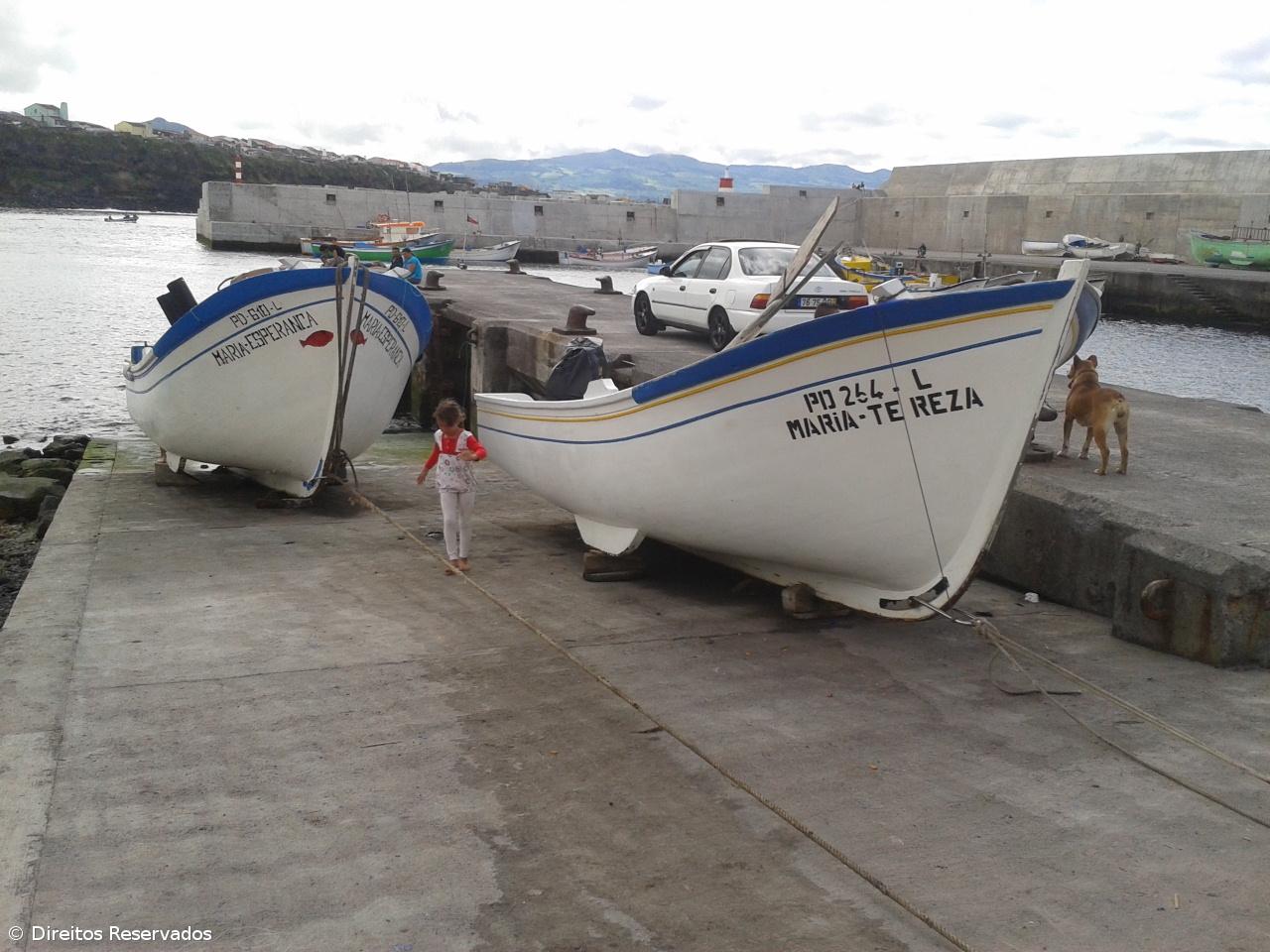 Governo Regional altera regulamentação de pesca por armadilha – Imagem 1