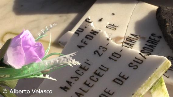 Maioria dos cemitérios abertos mas com restrições e proibições – Imagem 1