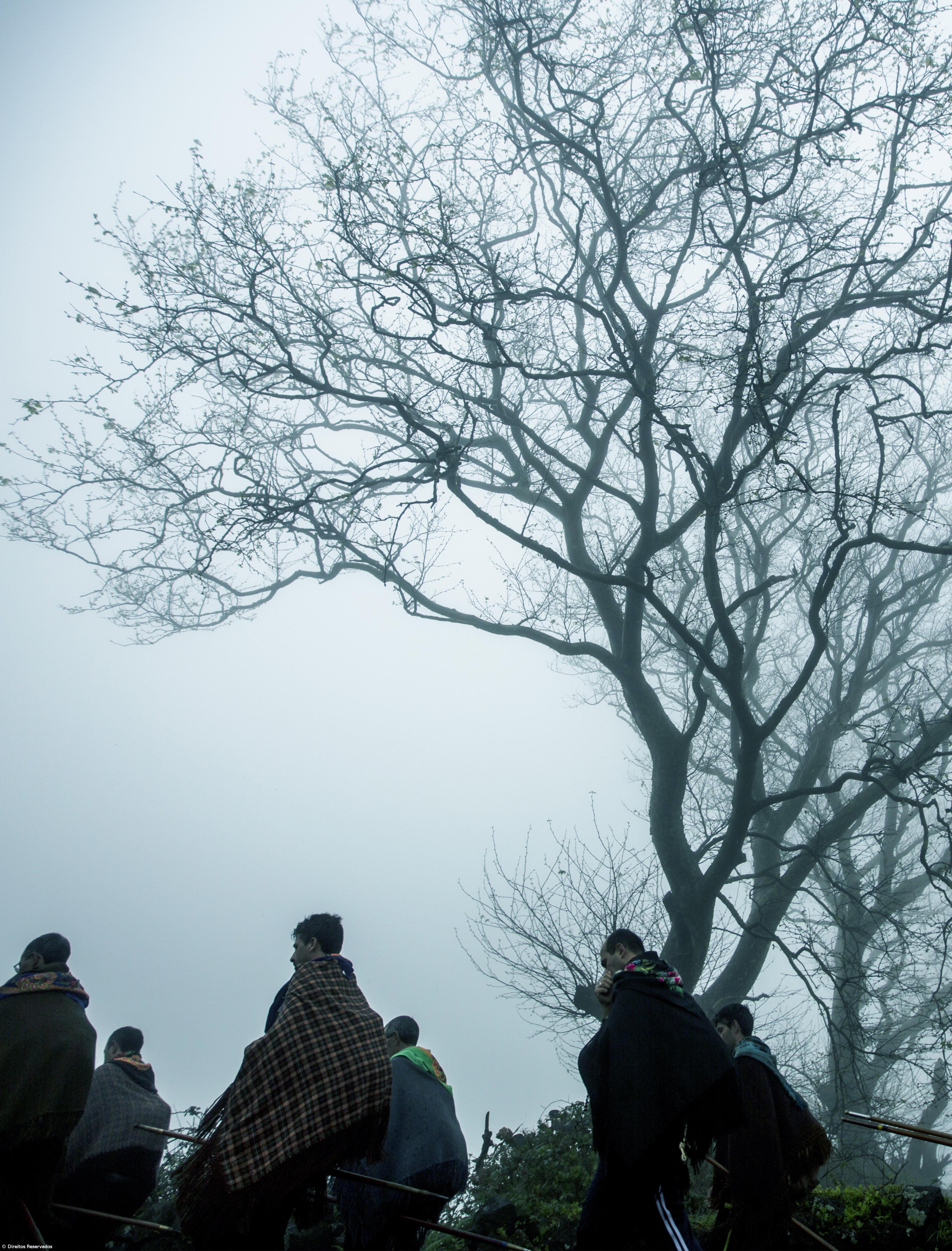 Filmes de Pedro Magano com vidas de romeiros e pescadores portugueses exibidos nos EUA – Imagem 1