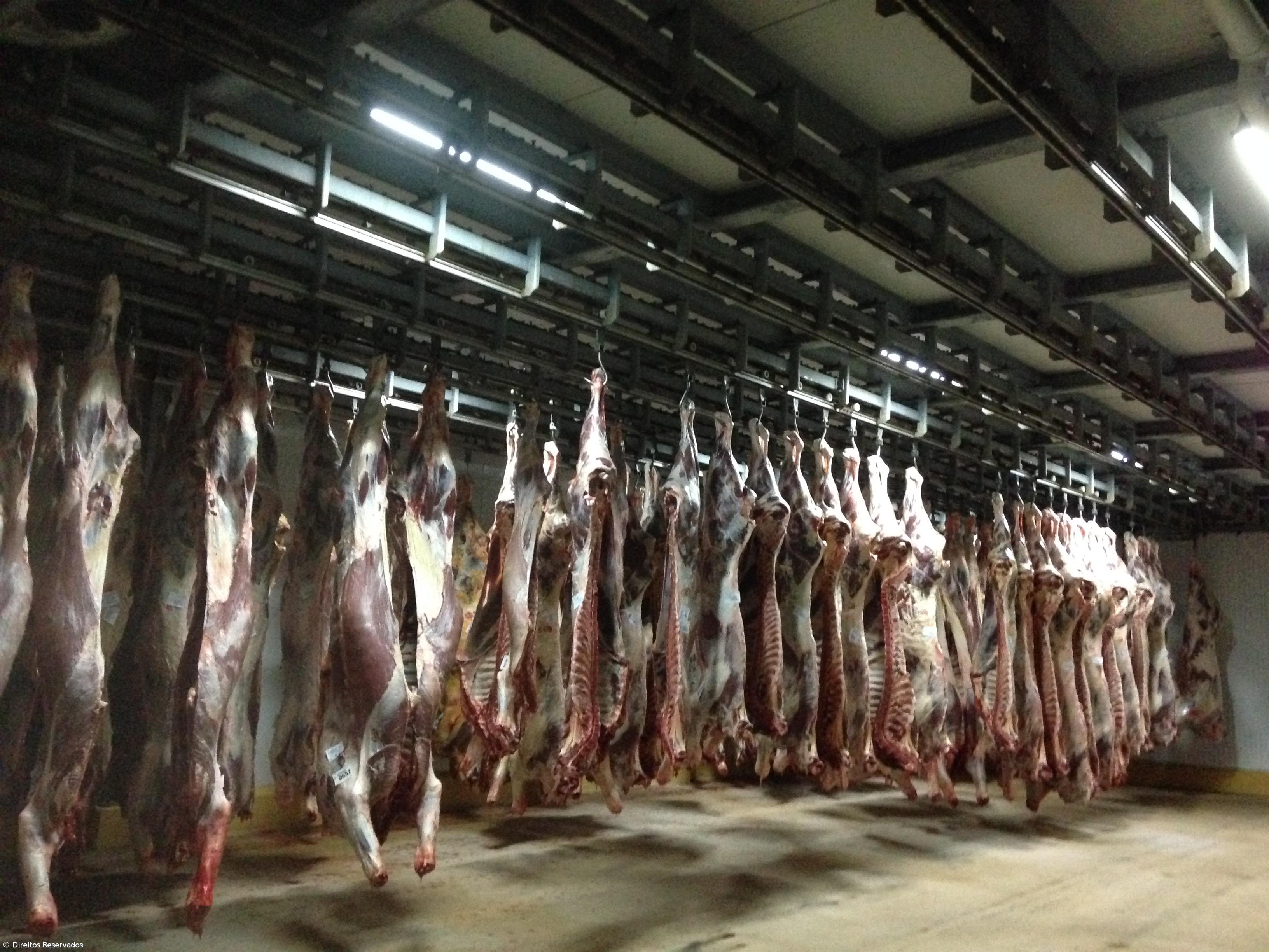 Produção de carne com aumento de 1800 toneladas até agosto  – Imagem 1