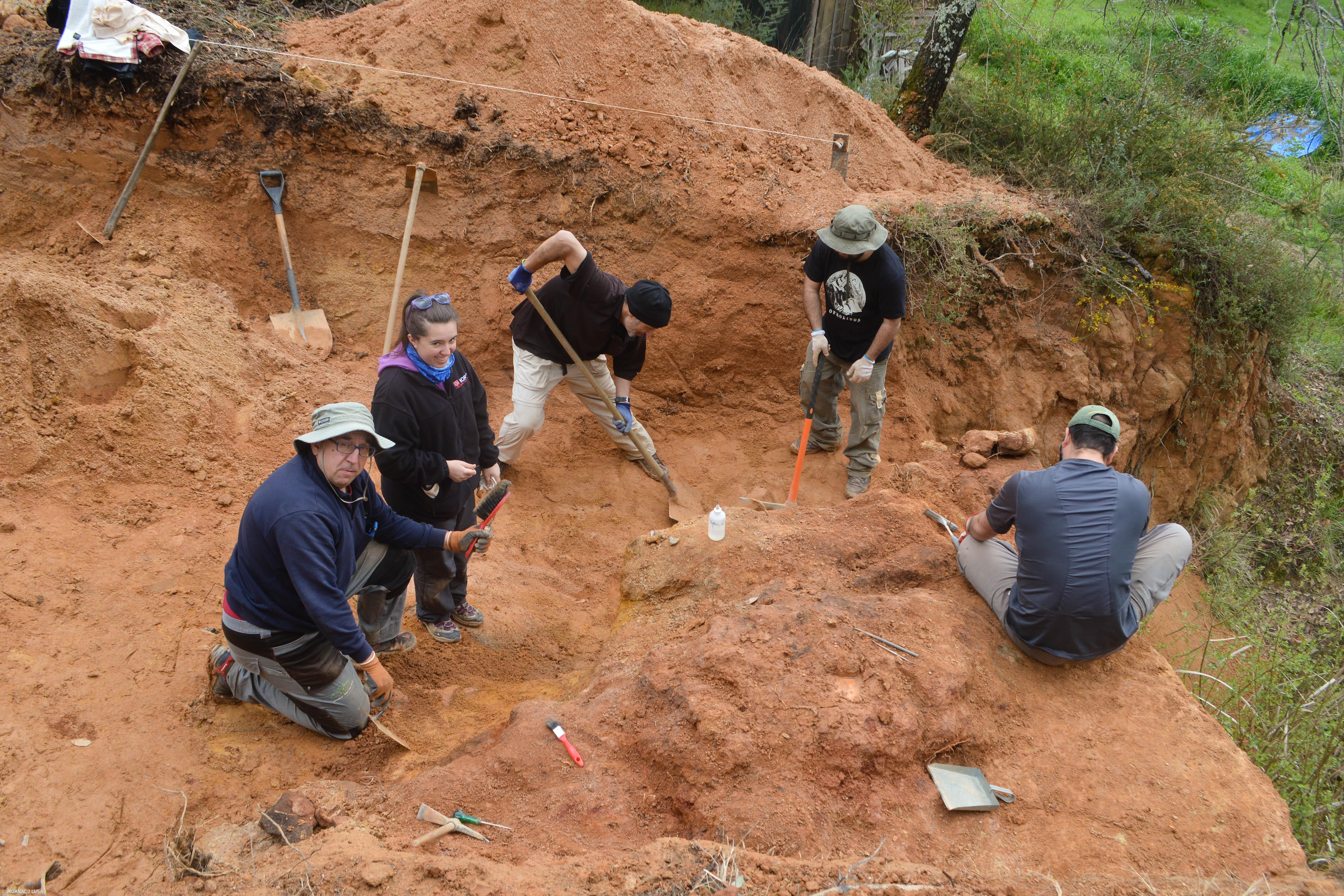 Fósseis de dinossauros e tartarugas encontrados em Pombal  – Imagem 1