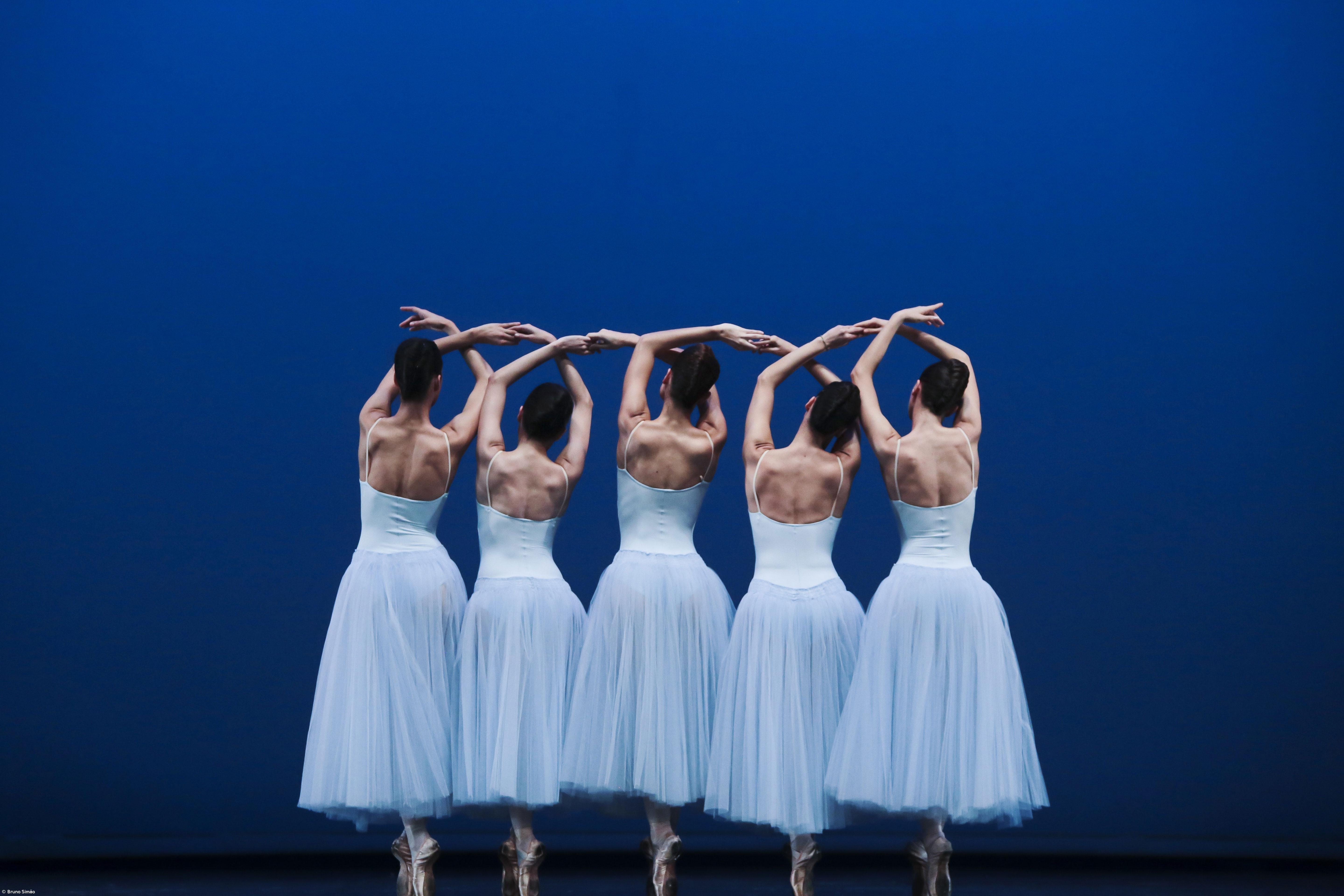 Estruturas da dança saúdam medidas do Governo mas querem mais ação – Imagem 1