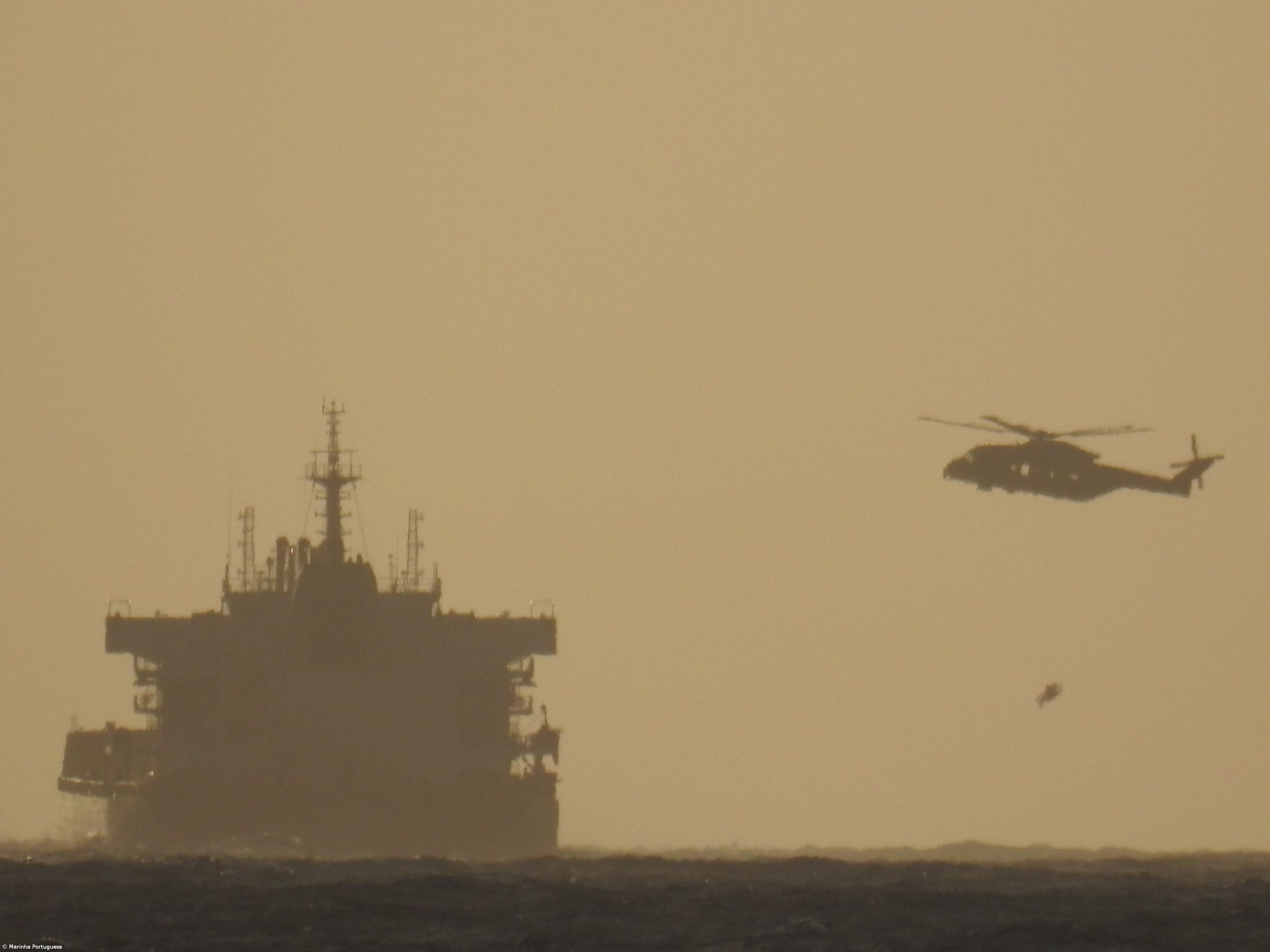 Ruído nos mares e rios afeta os animais e pode matá-los – Imagem 1