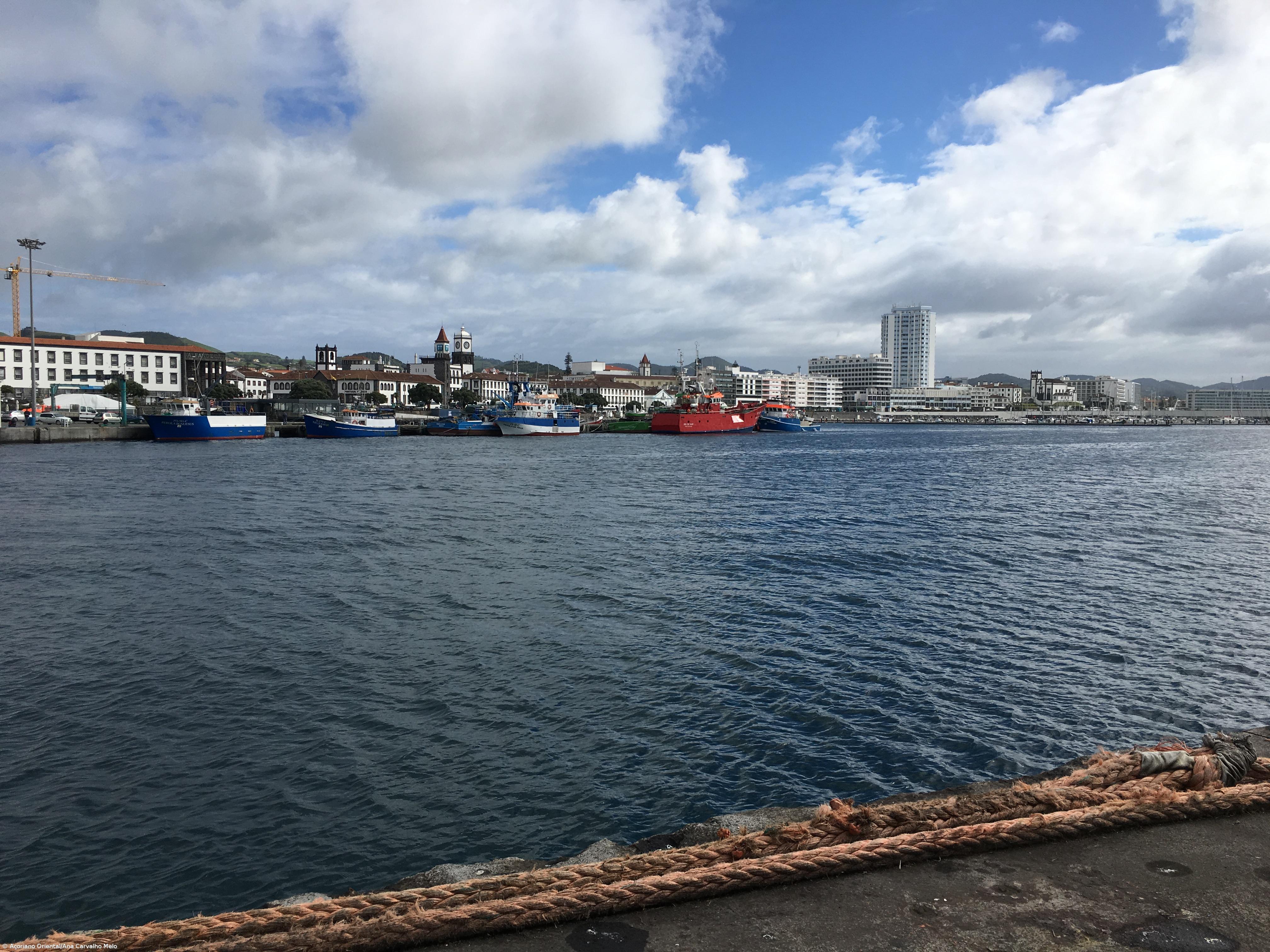 Federação dos Açores pede gestão da pesca do atum patudo e voador para as regiões – Imagem 1