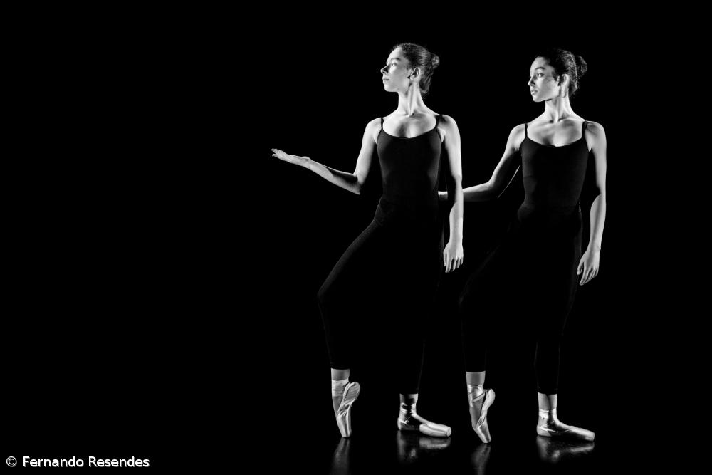 Estatuto dos Profissionais da Cultura cumpre um ano entre críticas e incertezas – Imagem 1