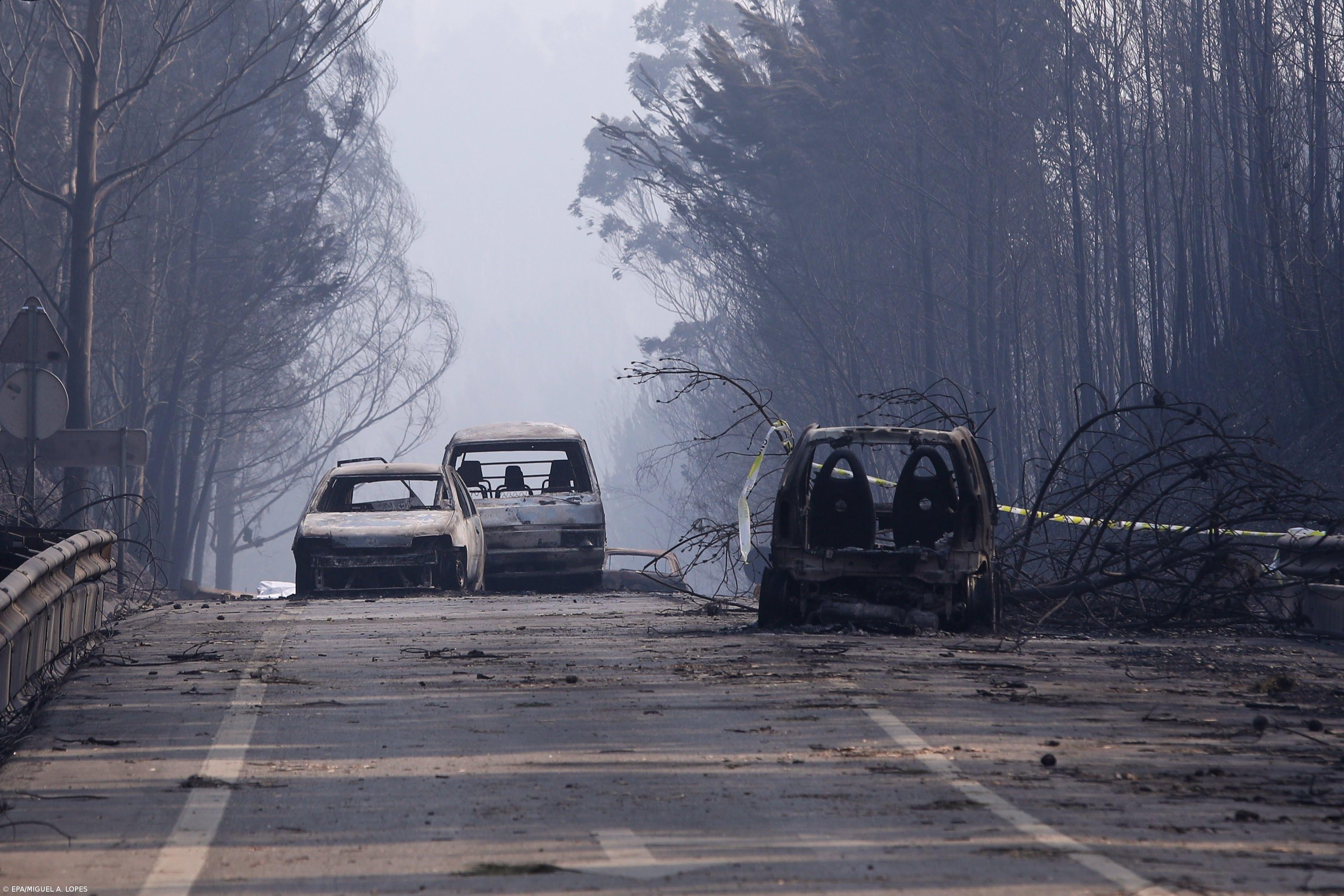 Todos os arguidos julgados no processo dos incêndios foram absolvidos – Imagem 1
