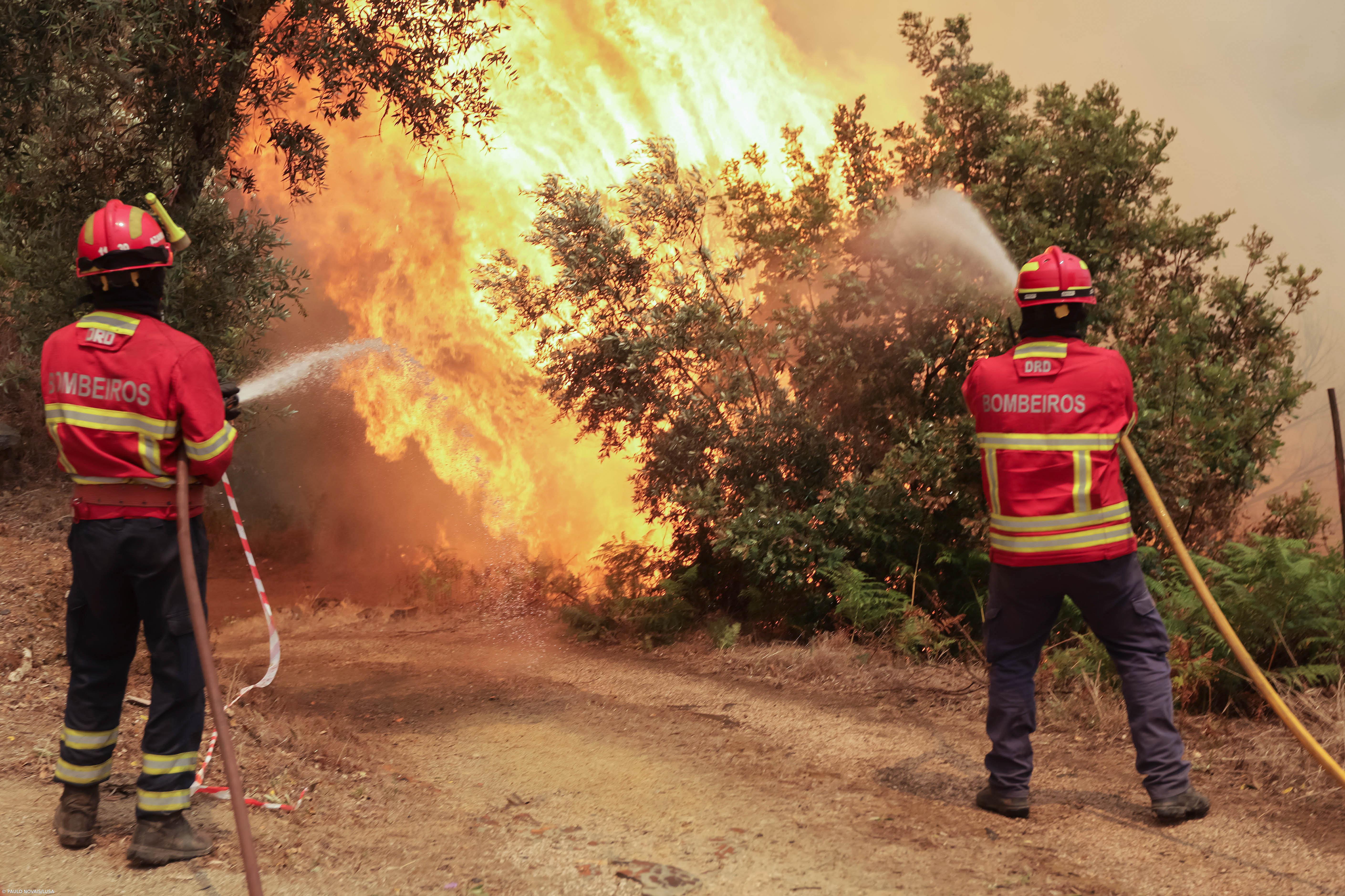 Frente de fogo “descontrolada” em Vila de Rei mas com habitações protegidas, diz autarquia – Imagem 1