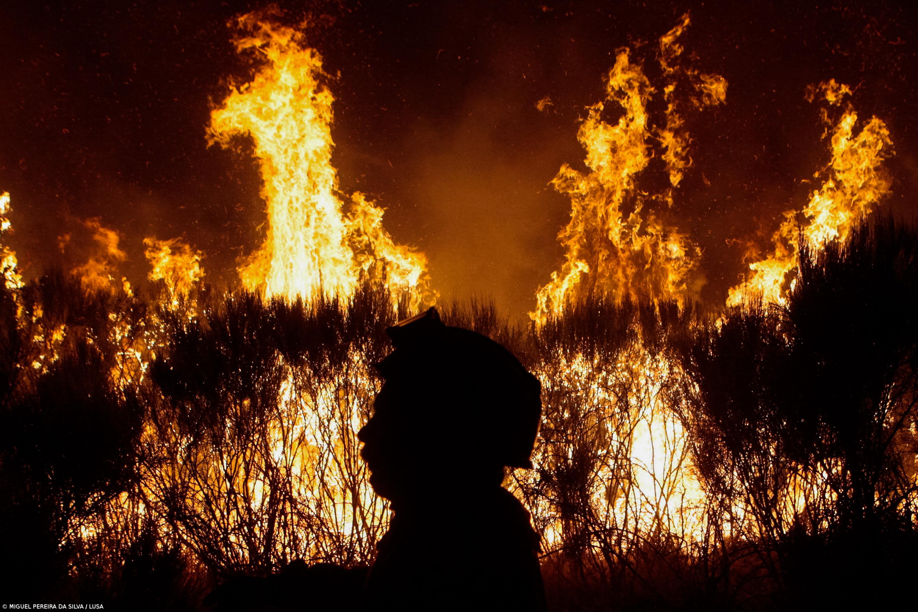 Fogos de julho e agosto reconhecidos como catástrofe natural com apoio de 10ME – Imagem 1