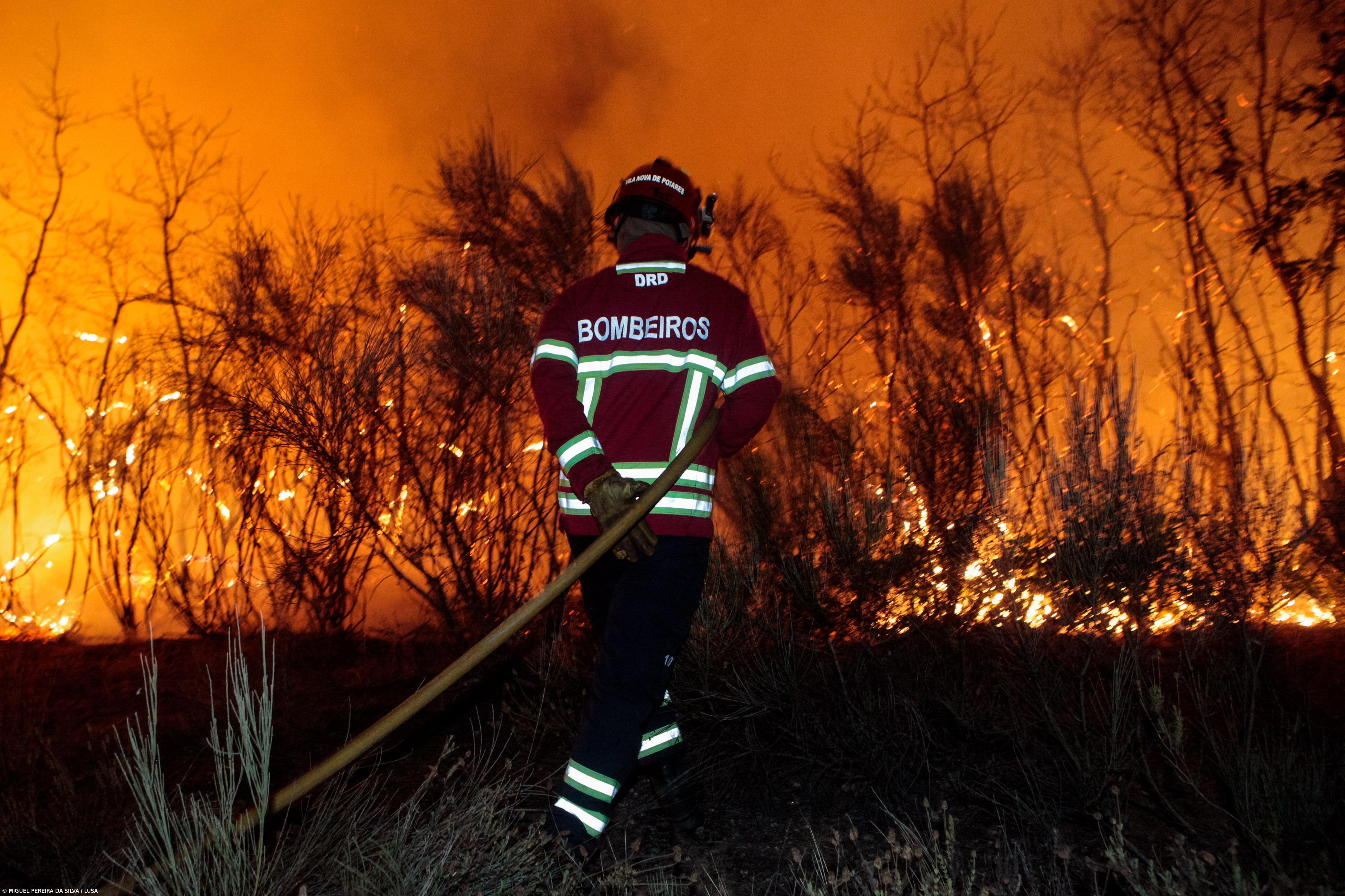 Meios de combate são reforçados com desafio simultâneo de resposta à covid-19 – Imagem 1