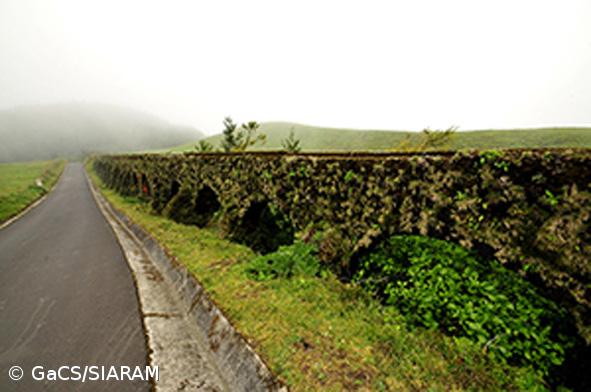 Região avança com classificação do Muro das Nove Janelas – Imagem 1