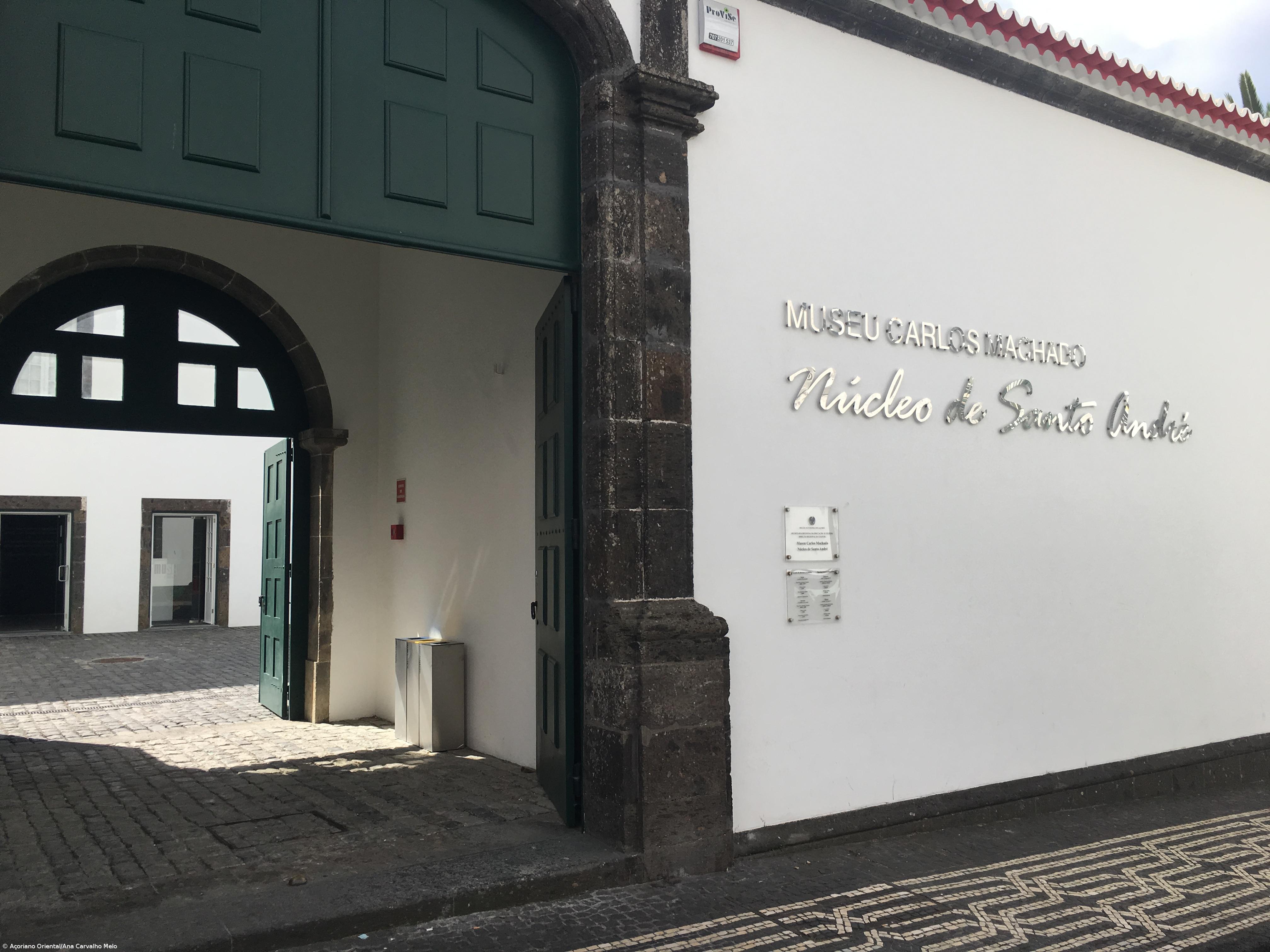 Diretor do Museu Carlos Machado está disposto a ceder boi anão ao Ecomuseu do Corvo – Imagem 1