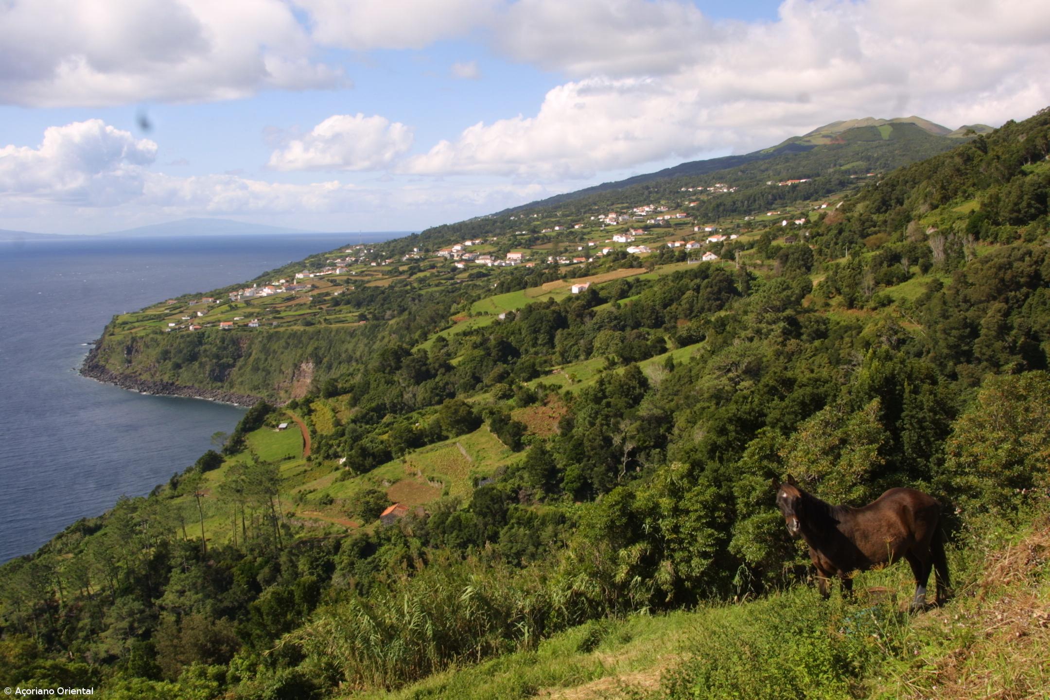 Encontrado corpo do jovem mergulhador desaparecido desde segunda-feira – Imagem 1
