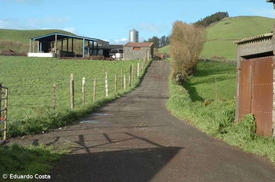 Bruxelas lança consulta pública sobre futuro da PAC – Imagem 1