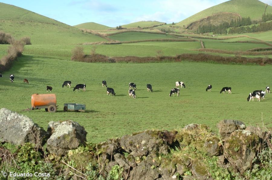 Executivo vai criar planos de desenvolvimento rural para cada ilha – Imagem 1