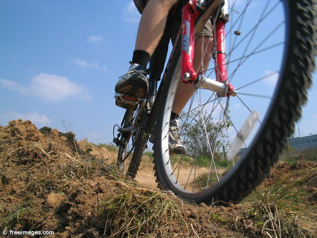 Portugal vai promover-se como destino para andar de bicicleta ou a pé – Imagem 1