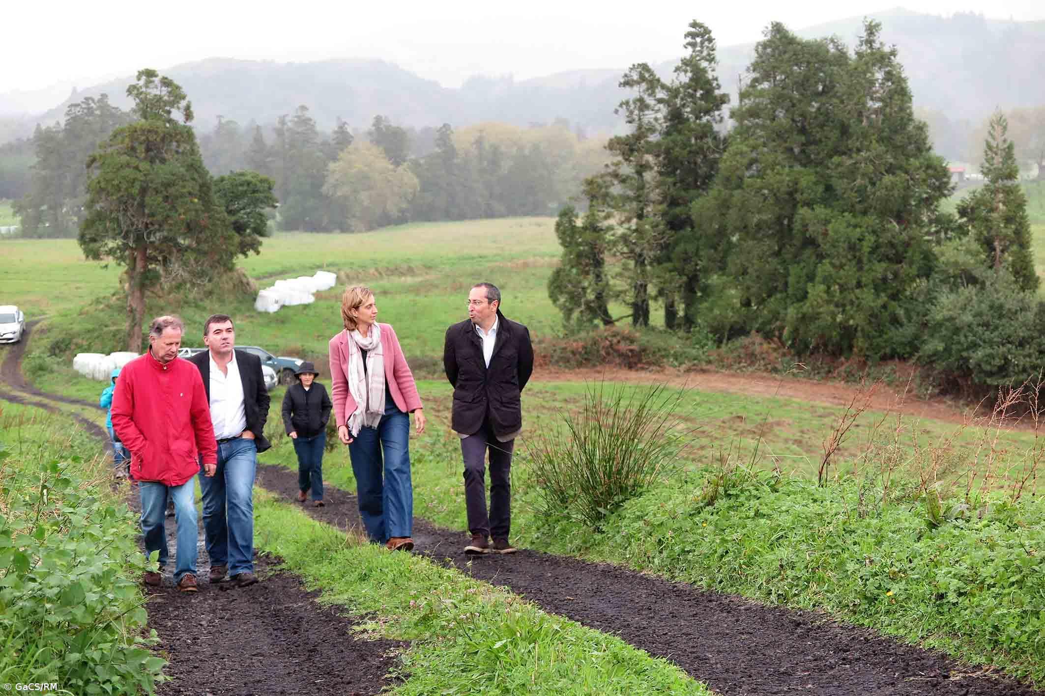Projeto de reflorestação na Lagoa das Furnas contempla plantação de 250 mil endémicas – Imagem 1
