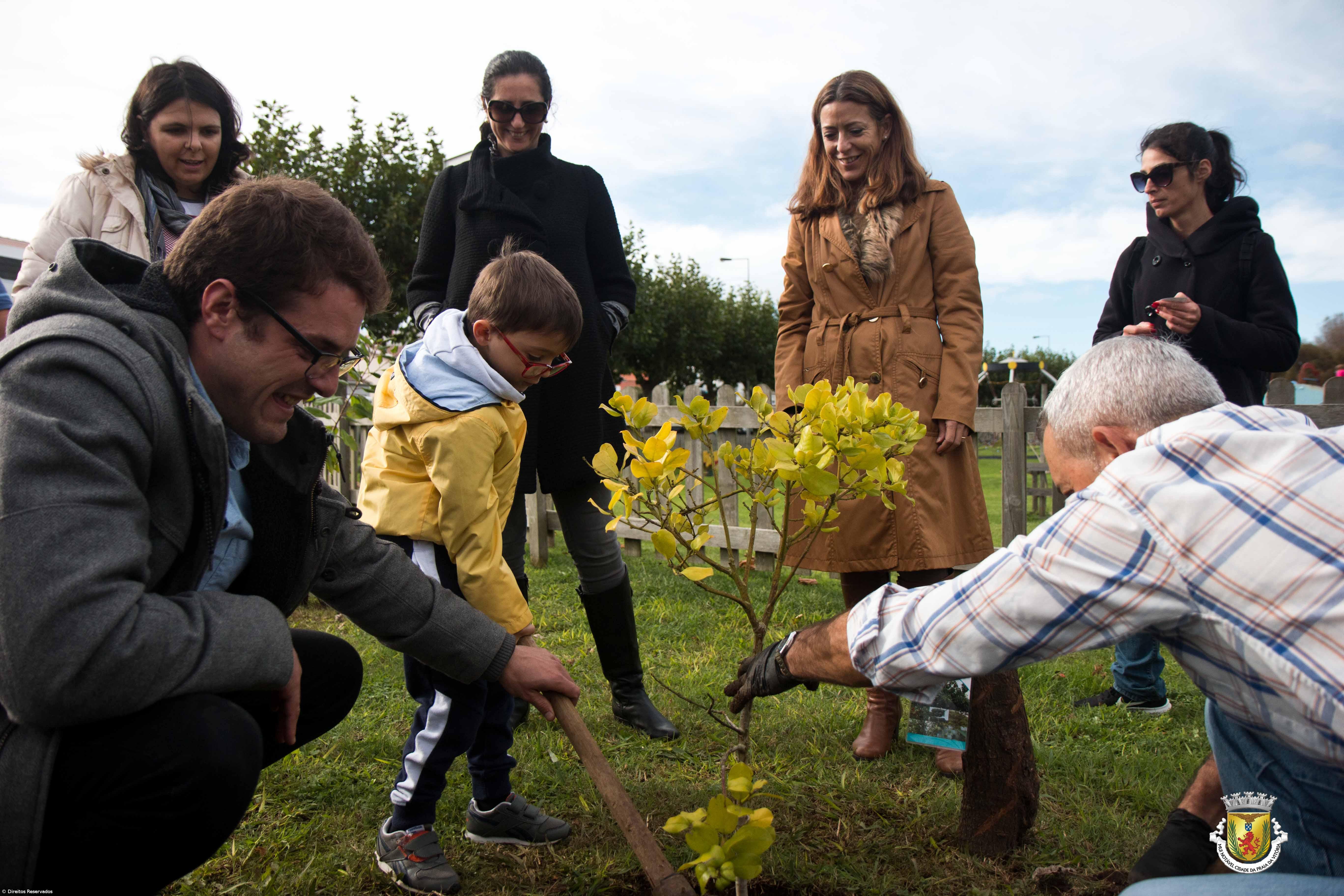 Praia da Vitória assinala Semana da Reflorestação Nacional – Imagem 1